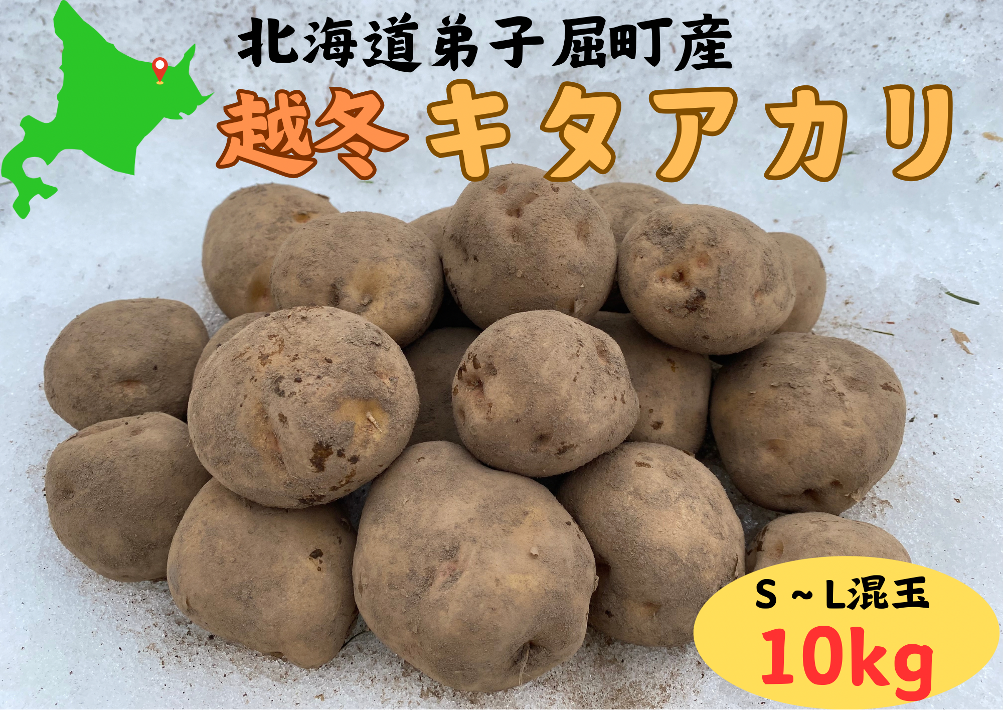 じゃがいも 10kg 五月蝿い キタアカリ 北海道産 送料無料 食品