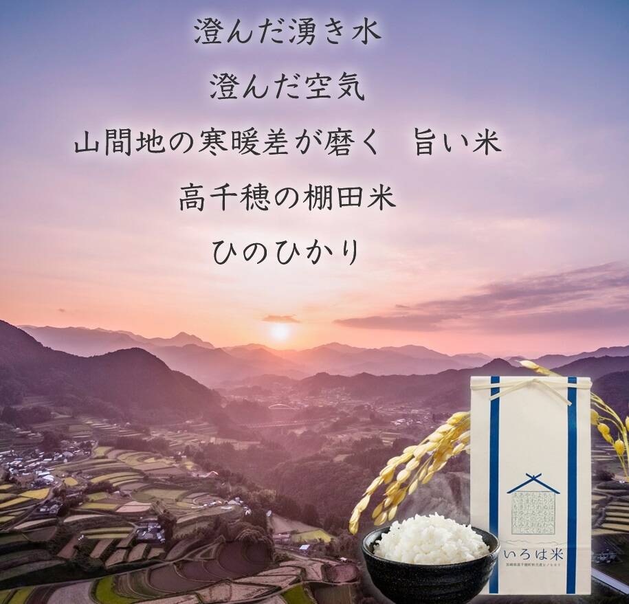宮崎県産 ヒノヒカリ 10キロ 白米