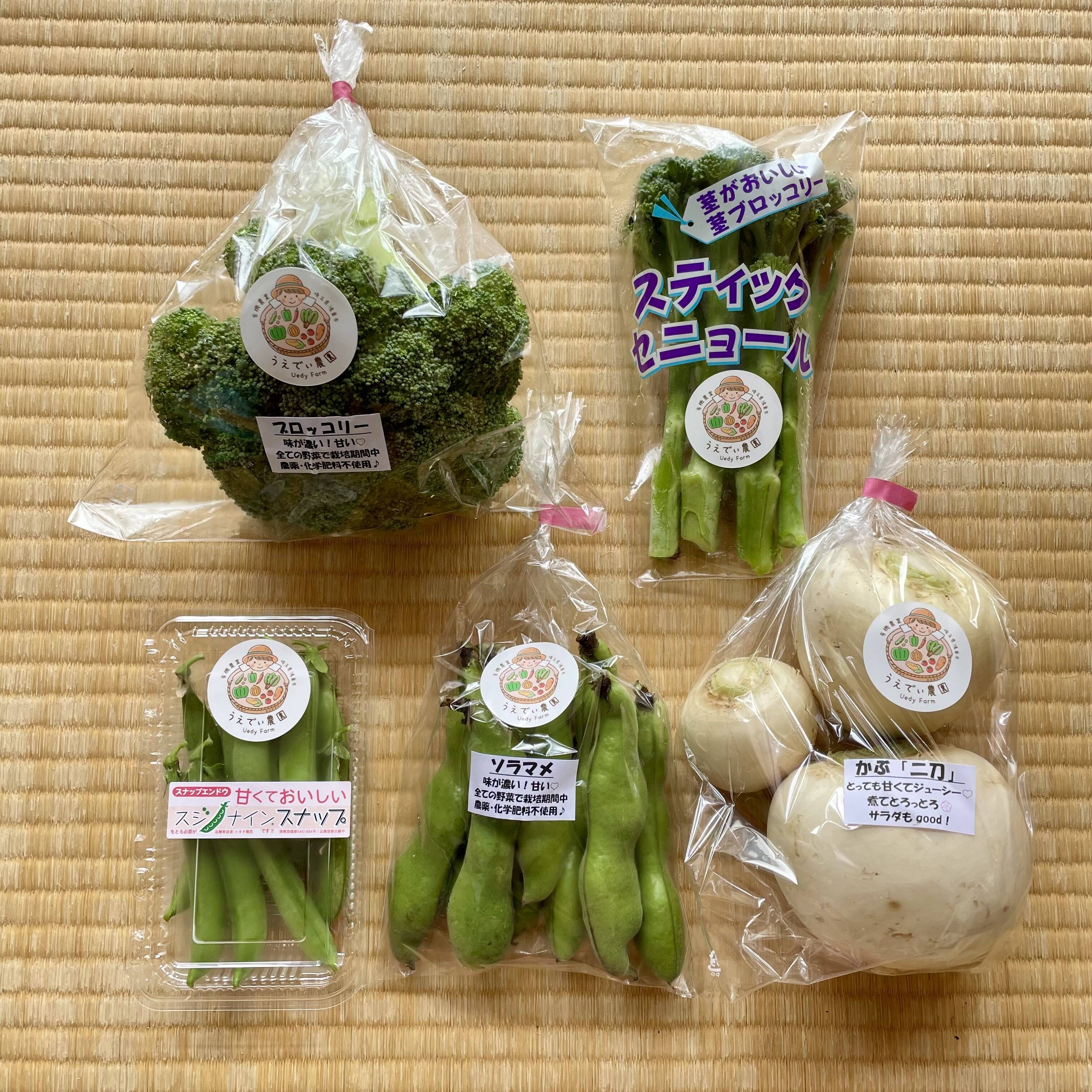 野菜セット 父の日ギフト】濃甘！野菜セット3種類×2倍量 農薬・化学肥料不
