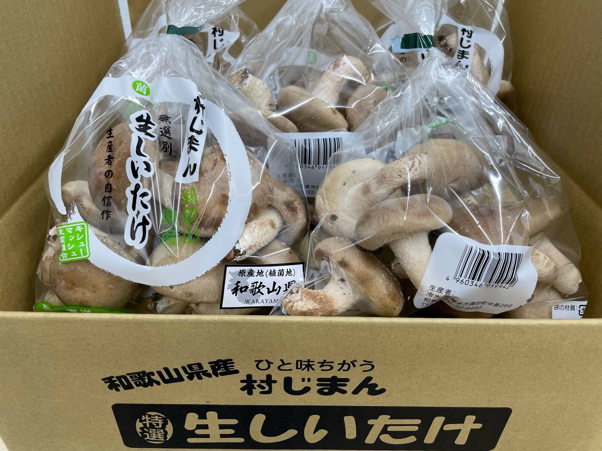2㎏まとめ買い！菌床生しいたけ 小さくても美味しい（２㎏）：和歌山県