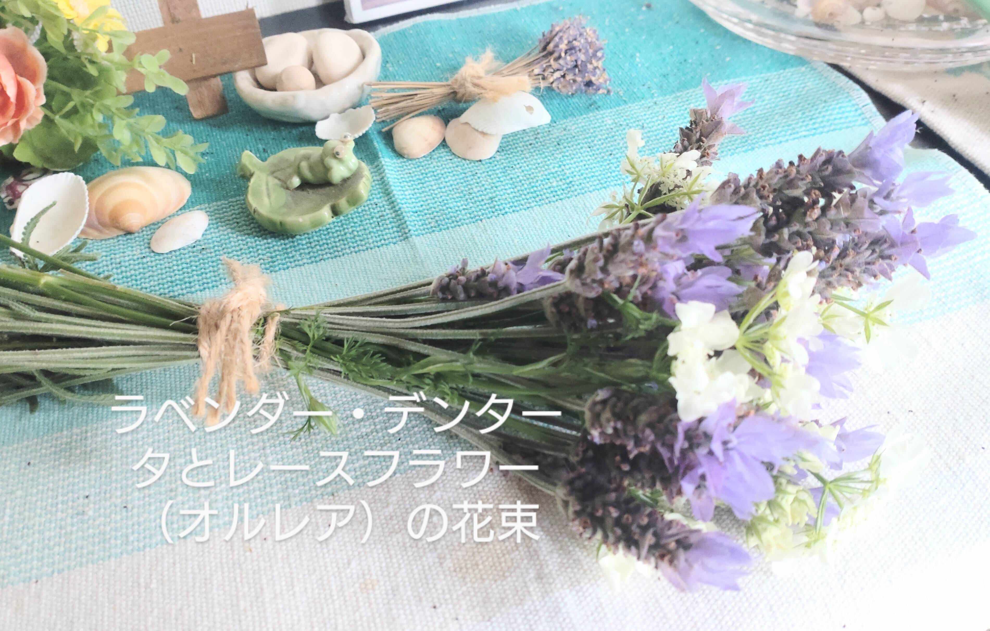 97a616a788b1e9933212ec6eaa208b