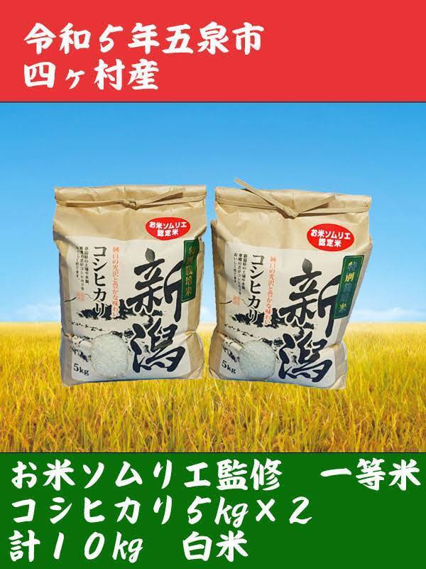 お米10キロ 白米 新潟産 コシヒカリ 1等米 農家直送 - 米