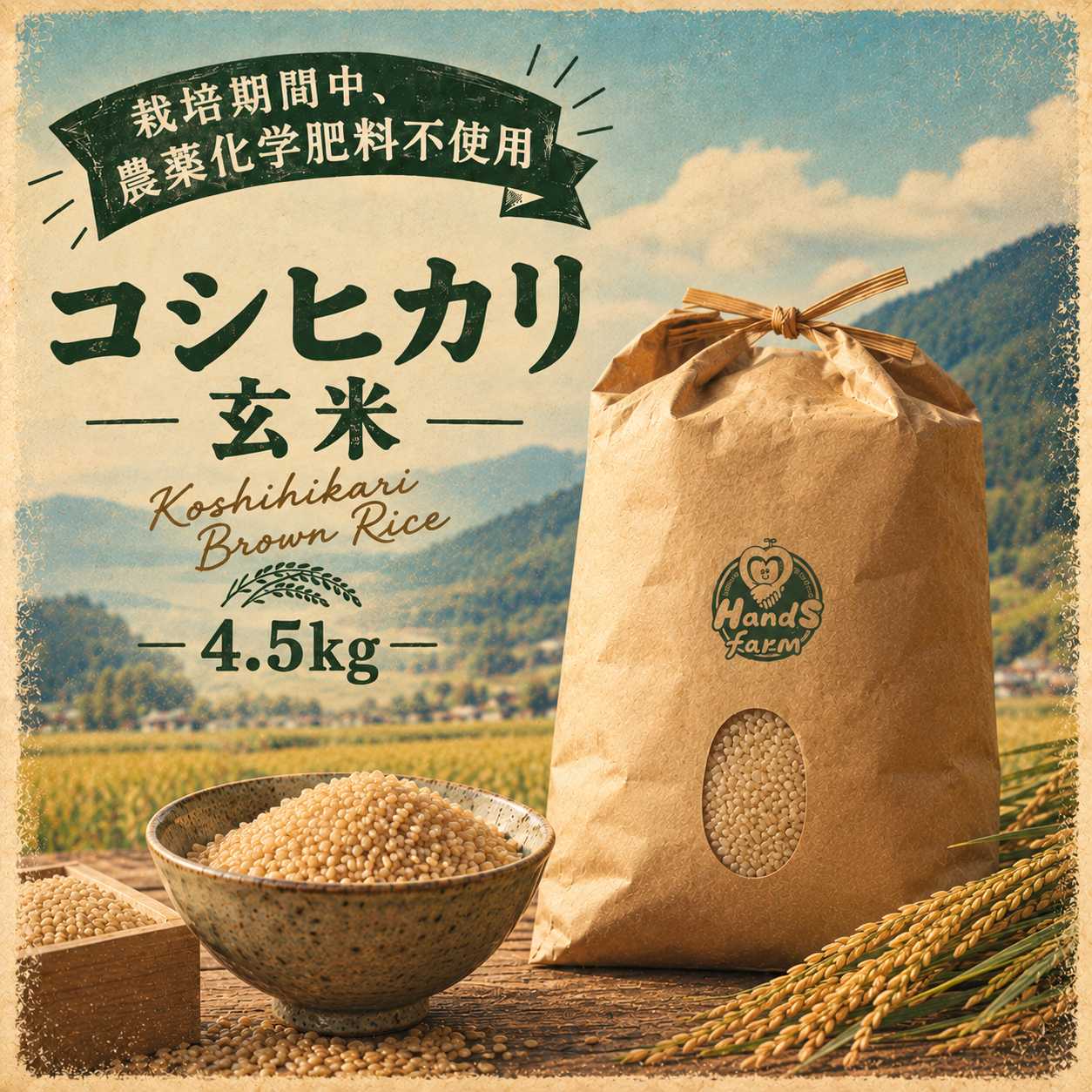 栽培期間中農薬不使用!! 京丹後産『コシヒカリ』玄米4.5kg：京都府産の