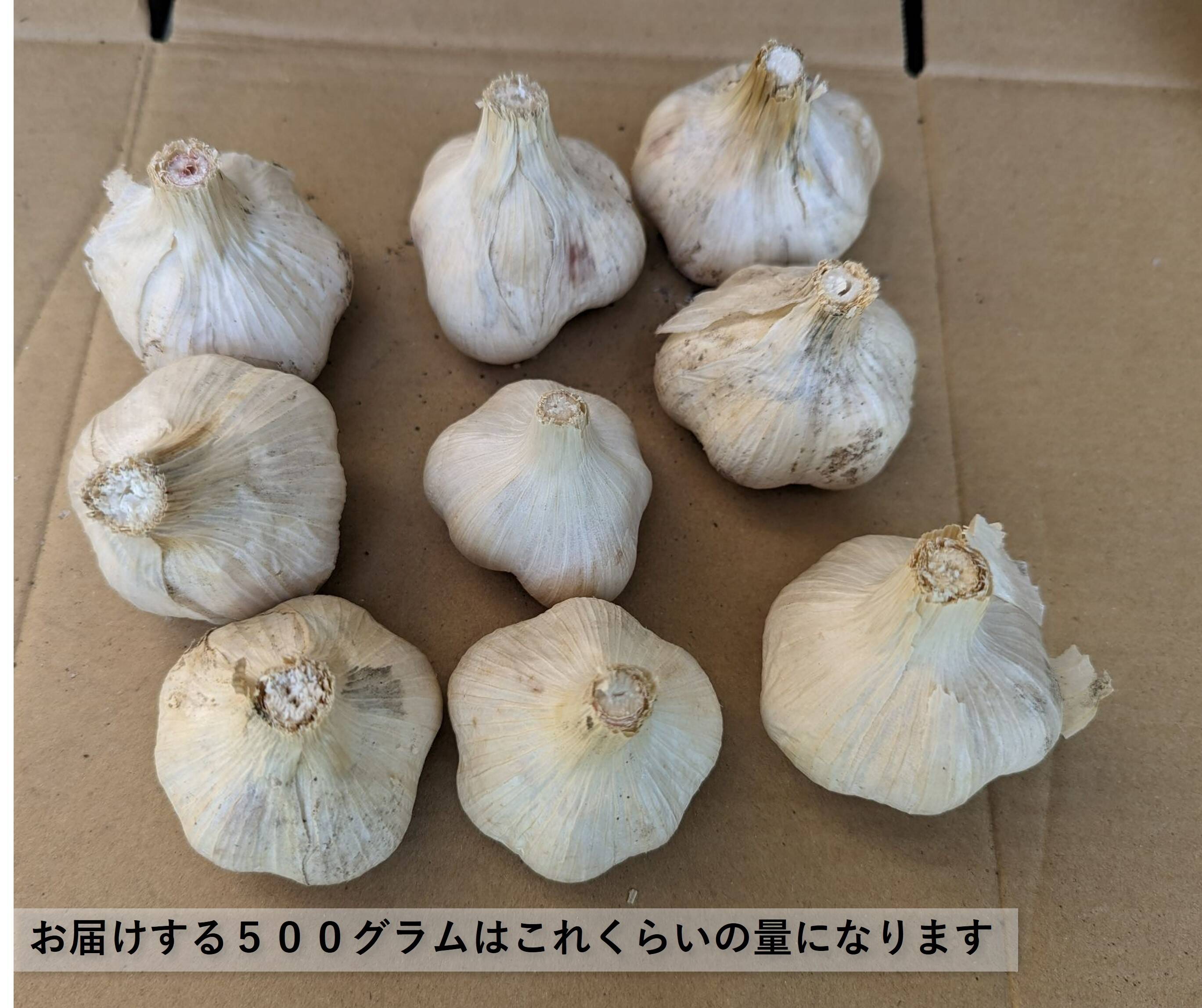 農薬化学肥料不使用・自然乾燥】にんにく500g（土付き・サイズいろいろ