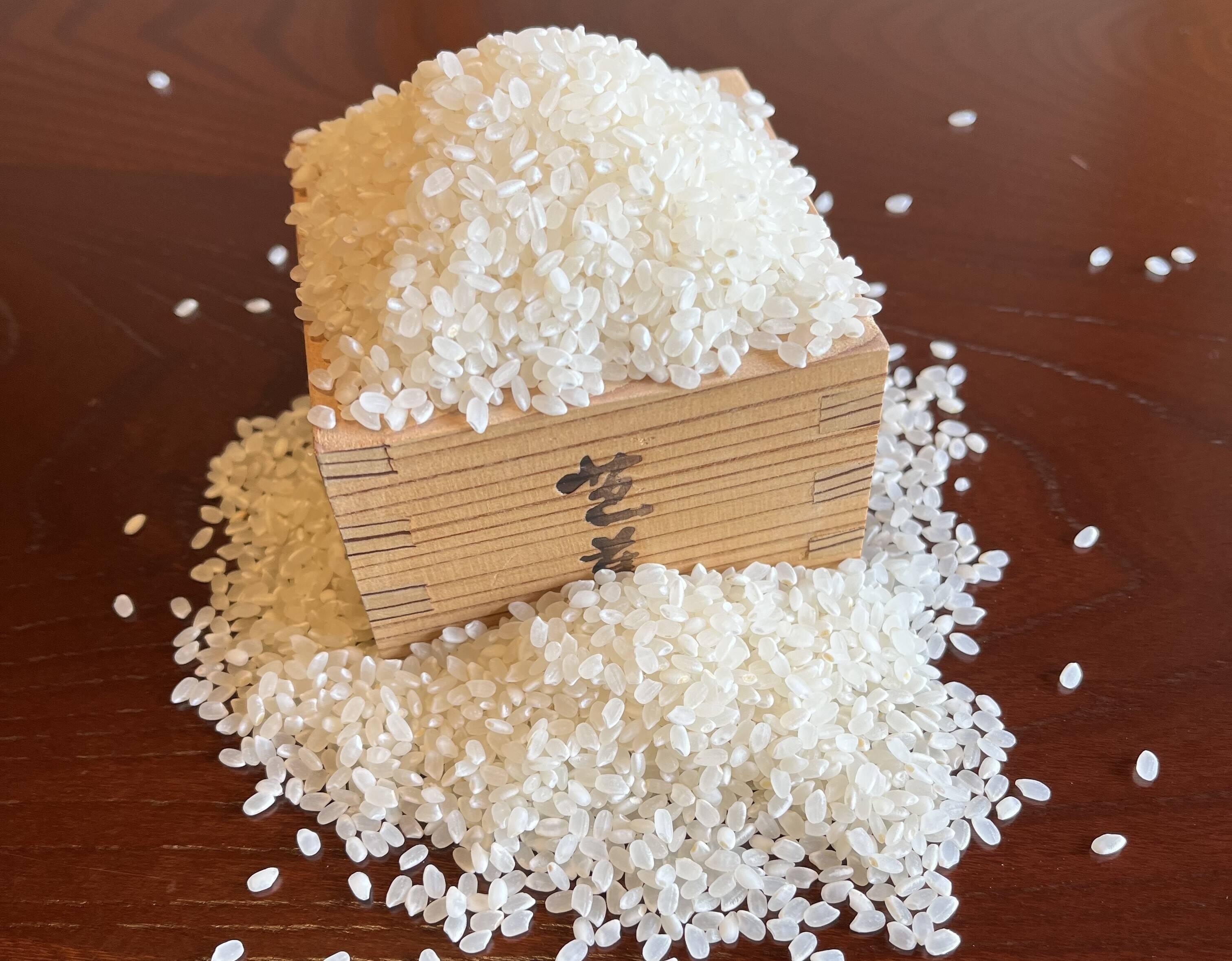 伊賀コシヒカリ 令和7年産 白米5kg(箱込み) ～忍者の里が育んだ至高の