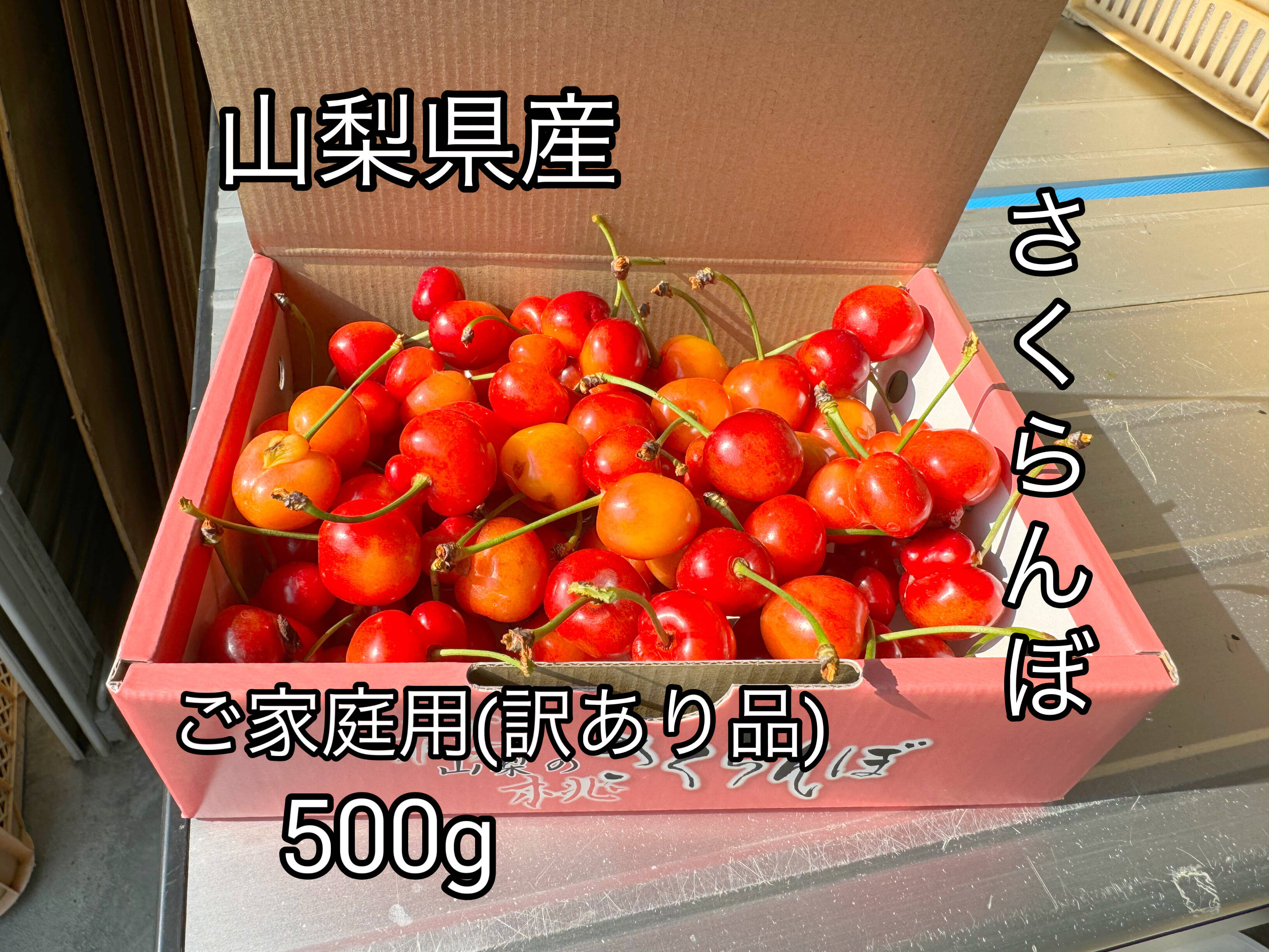 さくらんぼ品種おまかせ『訳あり品』500g：山梨県産の品種おまかせ