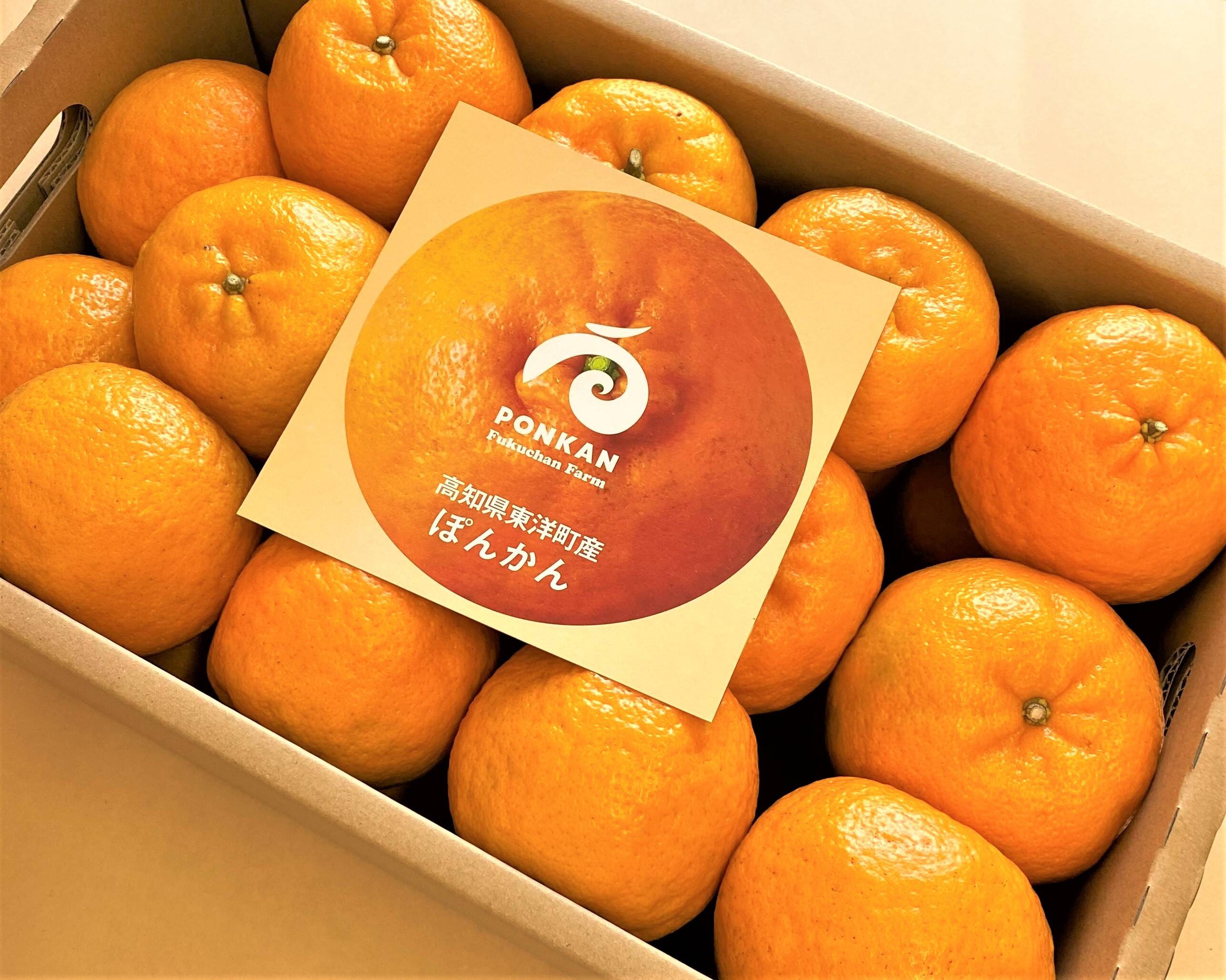 97f9341cd42ece54a853082f767c09