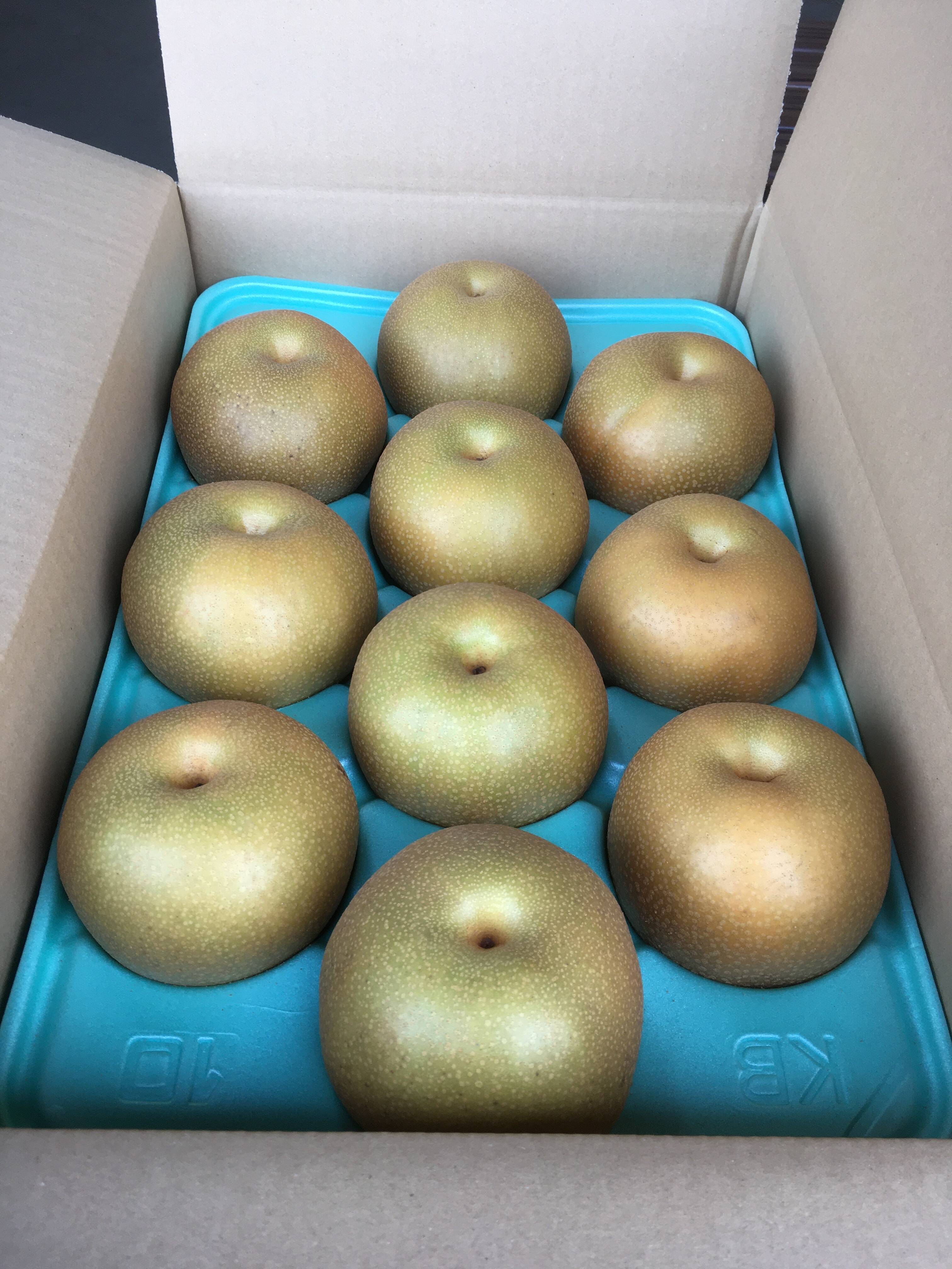 贈答用】大玉 豊水 5kg 8〜10玉：栃木県産の豊水｜食べチョク｜産地