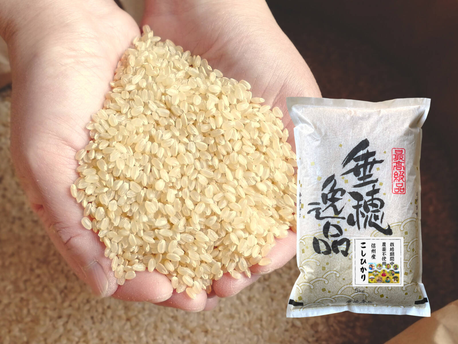 新米【玄米20kg】 農薬不使用米 信州産 こしひかり （5kg×4袋） 令