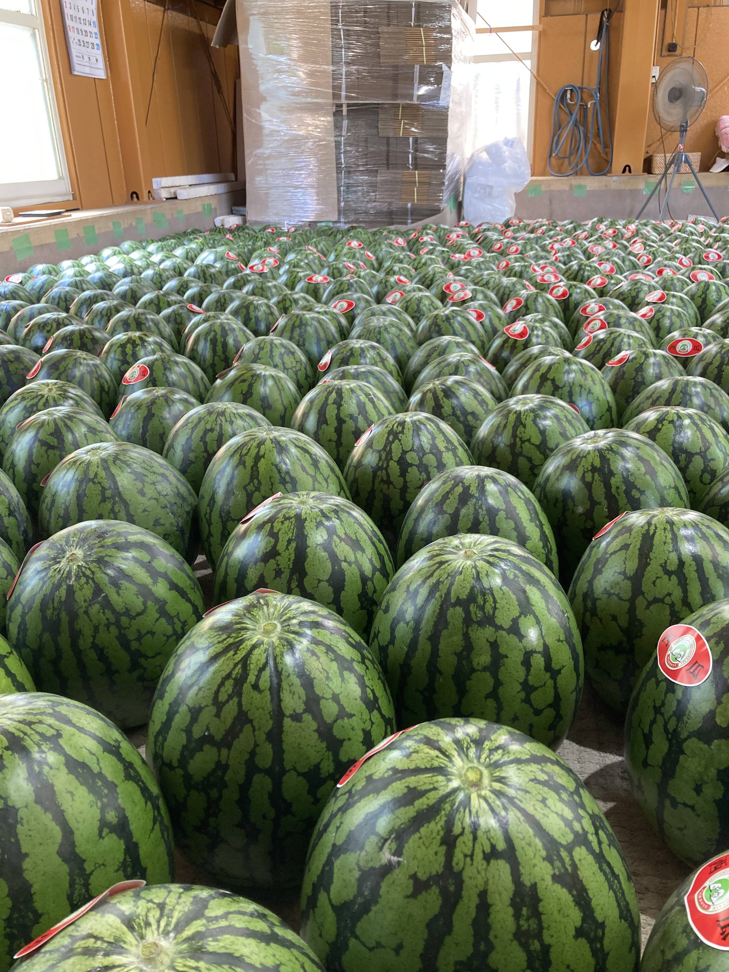 草間農園へのレビュー・商品：神奈川県｜食べチョク｜産地直送(産直)お取り寄せ通販 - 農家・漁師から旬の食材を直送