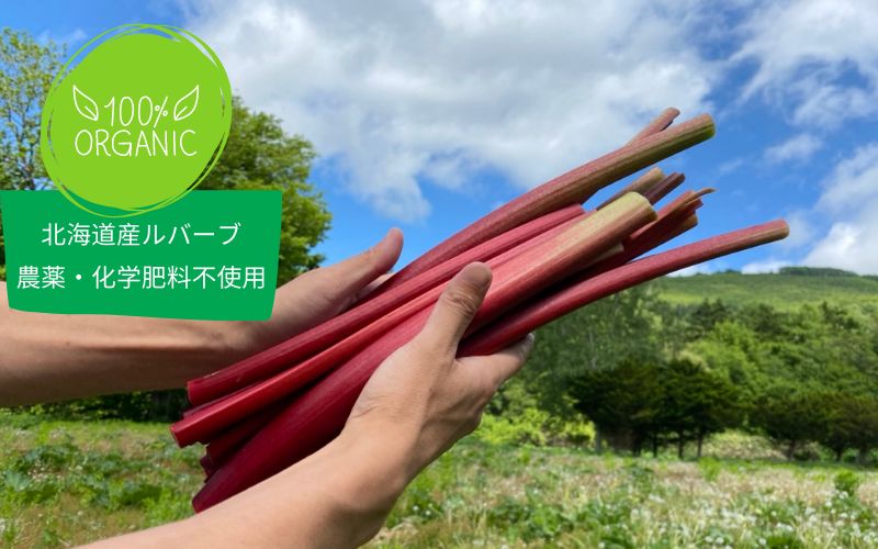 北海道産ルバーブ5kg『オーガニック』：北海道産のその他茎野菜｜食べ