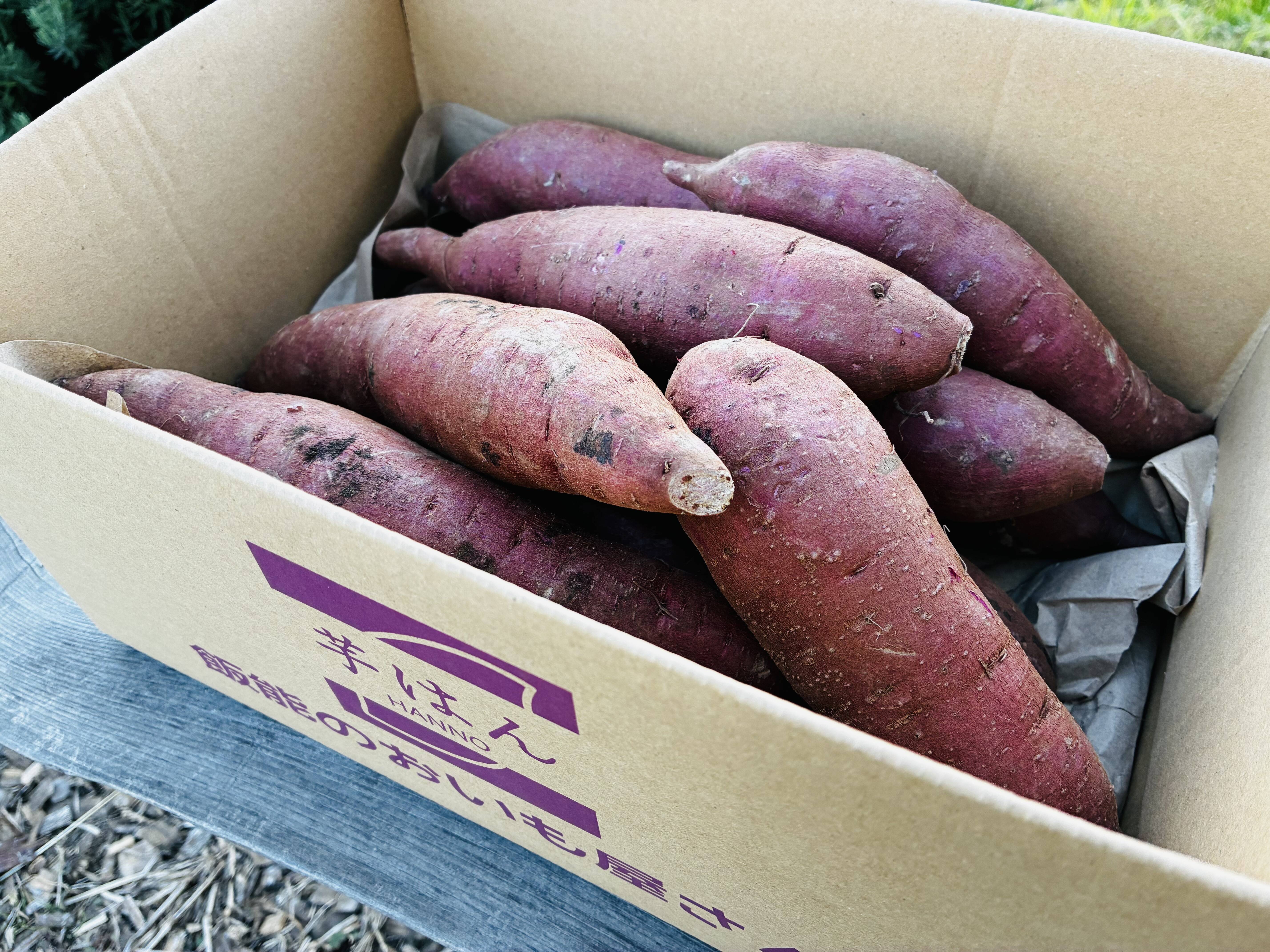 ふくむらさきS-M3kg！糖度高くアントシアニン豊富なさつまいも：埼玉県