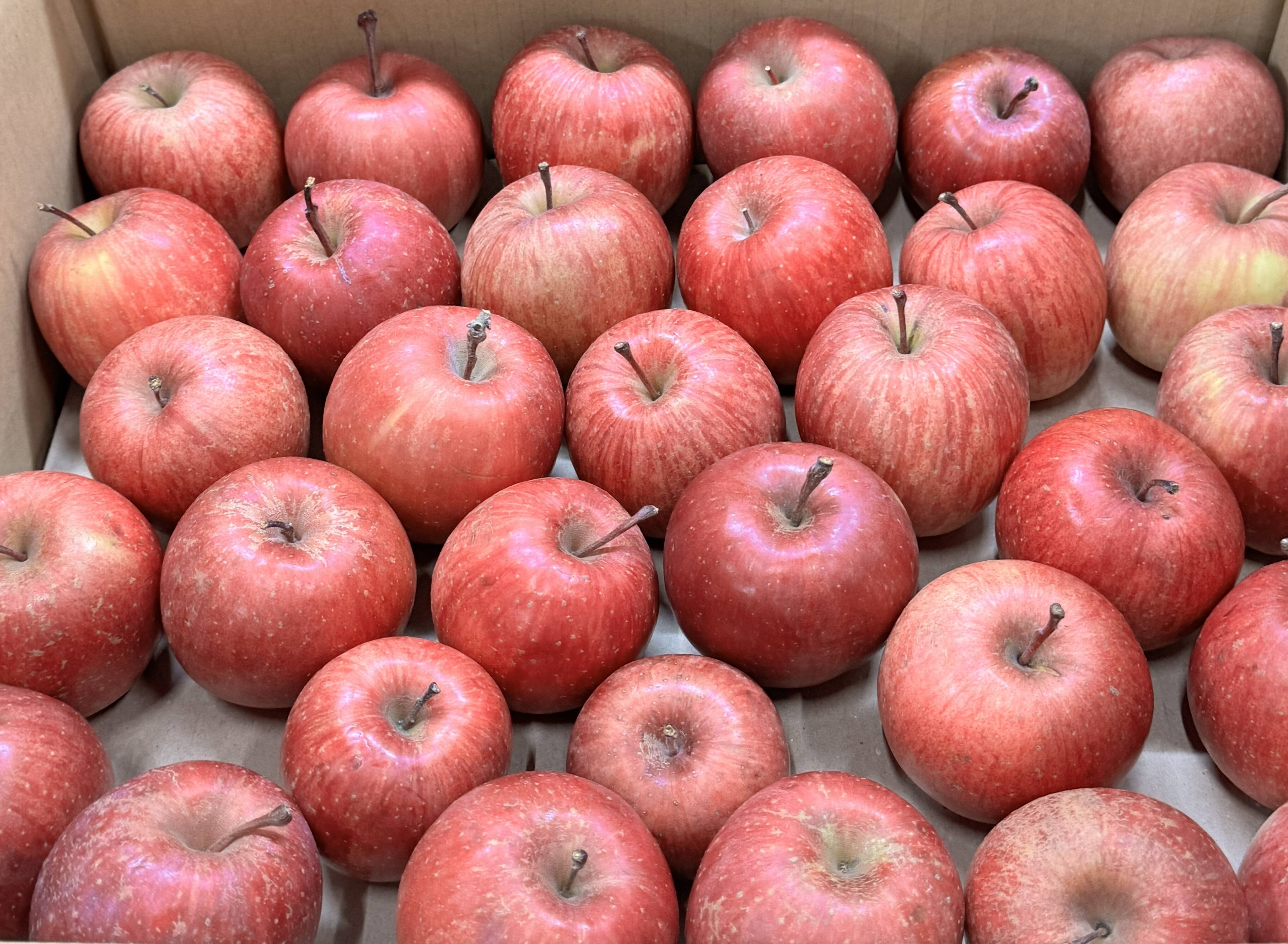 極小玉・バラ詰め】毎日りんご!! サンふじ🍎家庭用 約5Kg🍎コスパ抜群