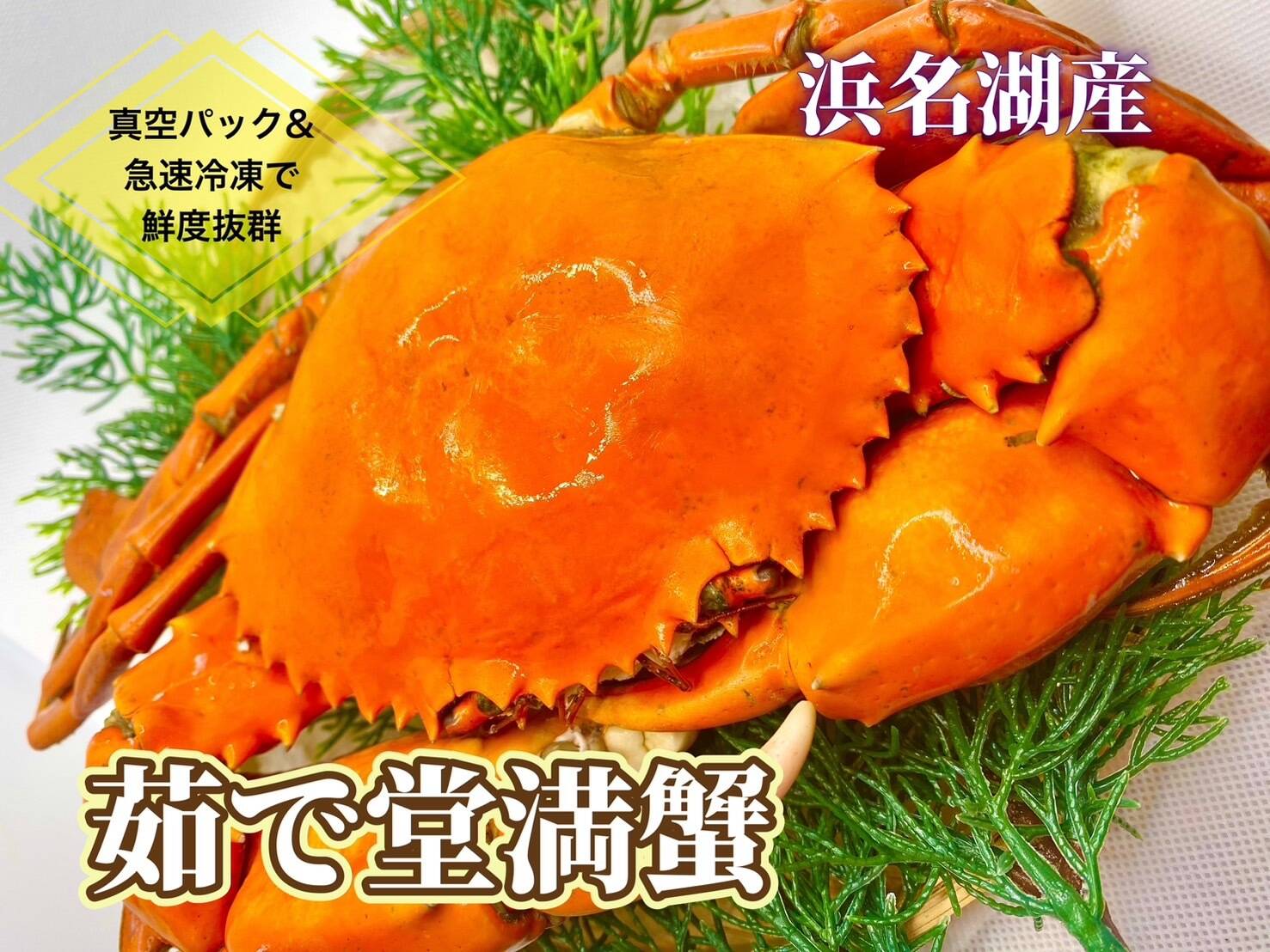 浜名湖産】茹で堂満蟹(ノコギリガザミ) 大サイズ1杯約600～800ℊ：静岡