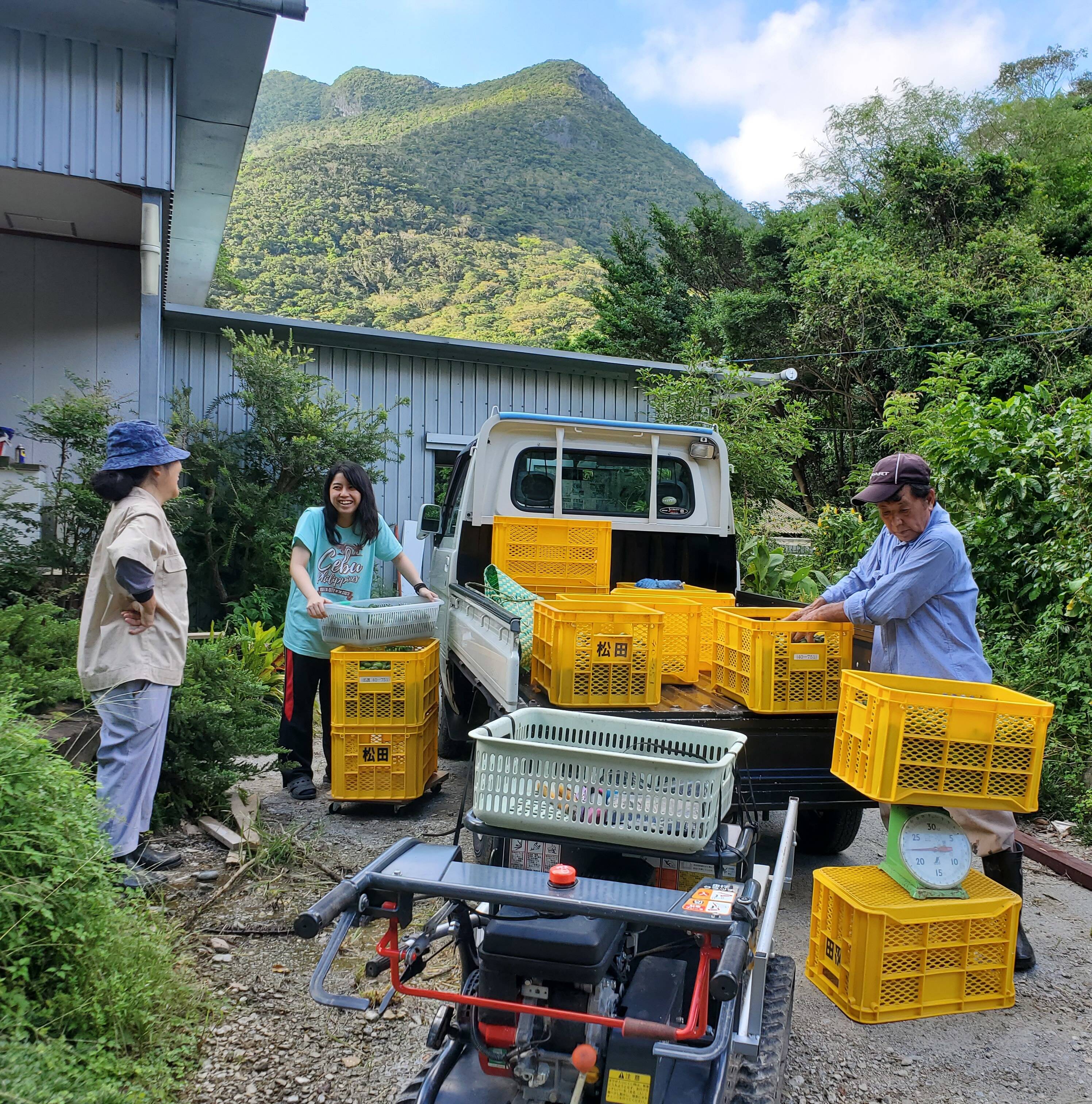 まつだファームへのレビュー・商品：沖縄県｜食べチョク｜産地