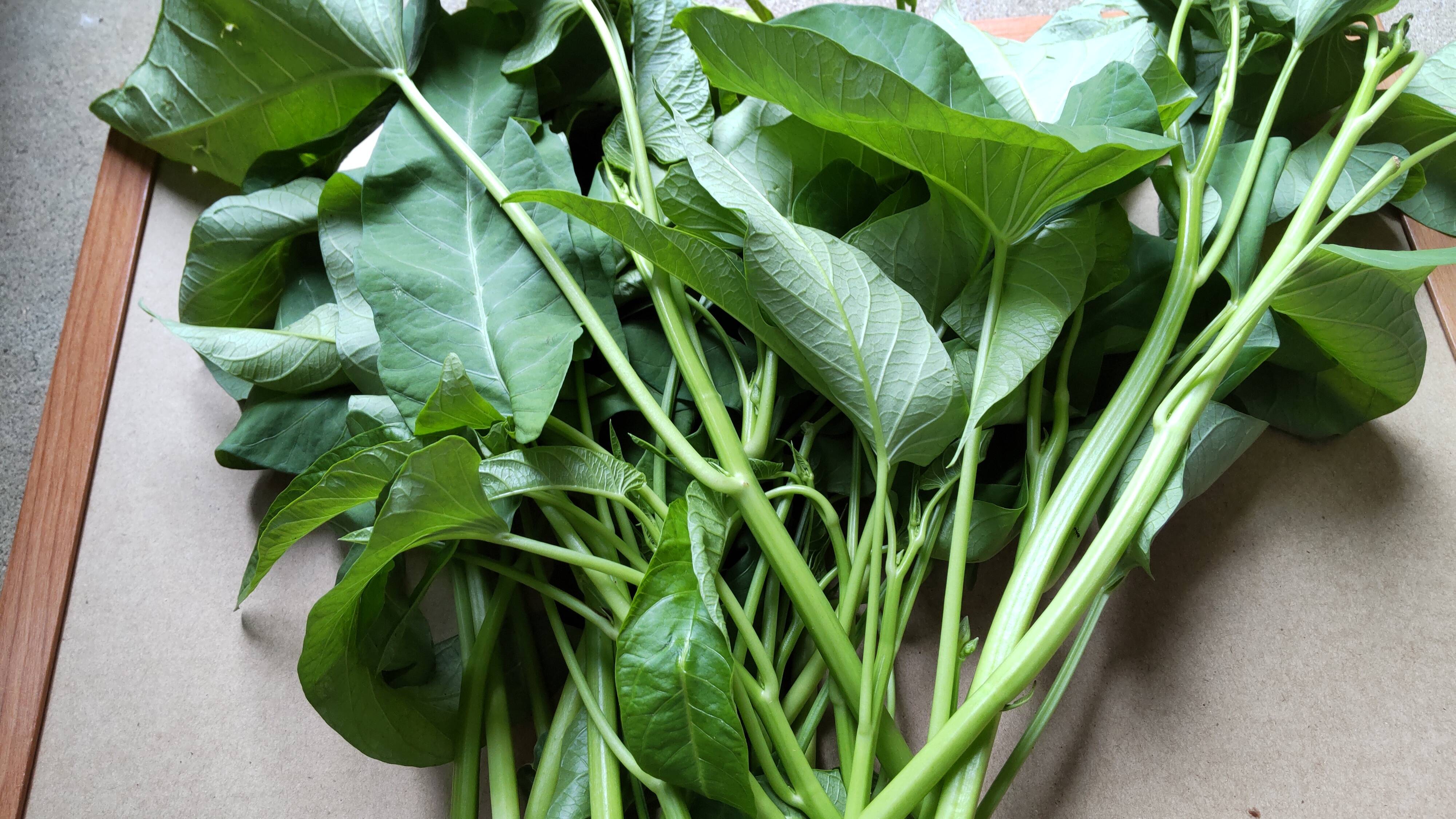 期間 数量限定 急な寒さにもまだまだ元気な空芯菜800グラム 静岡県産 食べチョク 農家 漁師の産直ネット通販 旬の食材を生産者直送