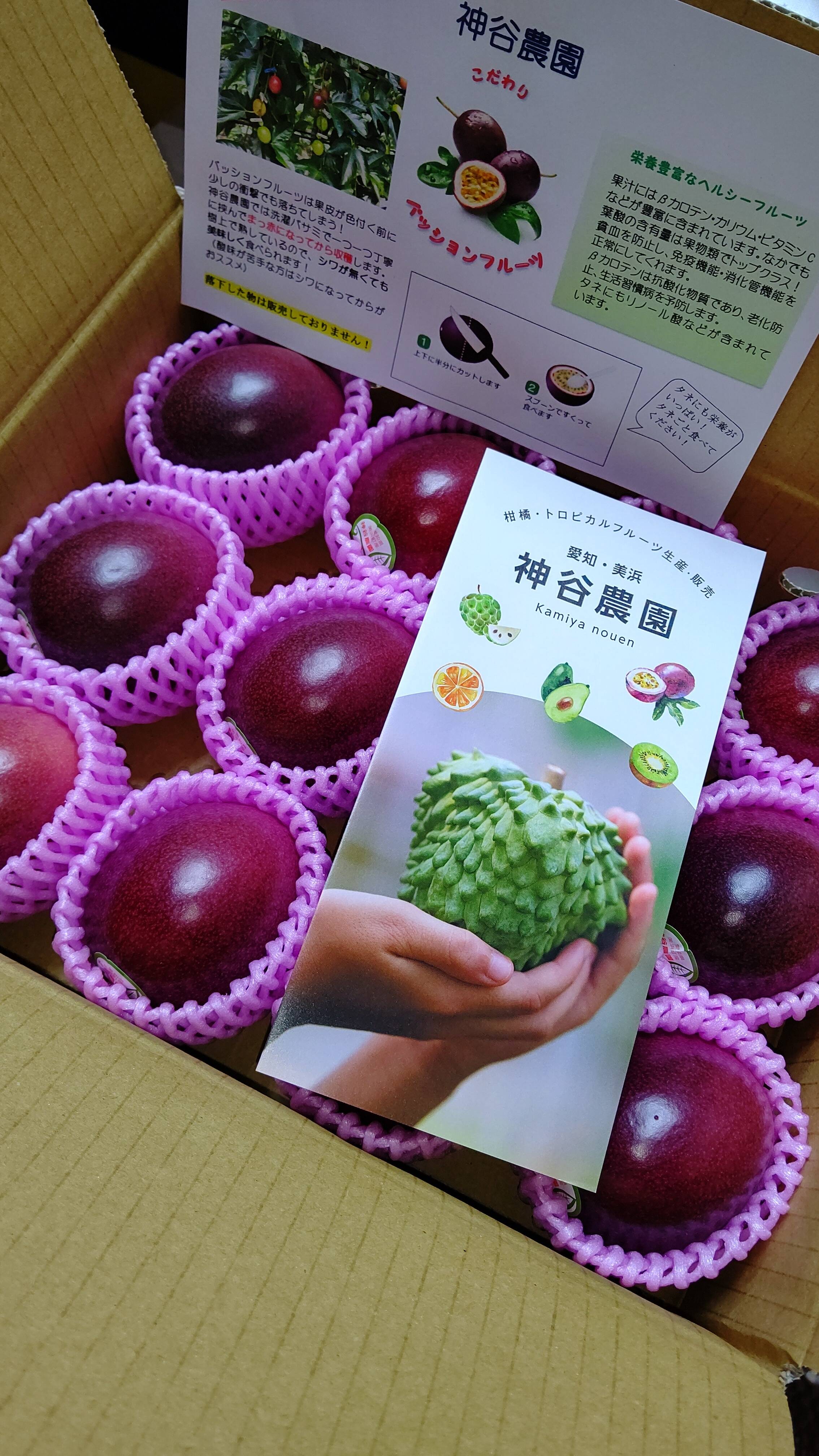 食べ頃パッションフルーツ 大玉サイズ１５個入り 愛知県産 食べチョク 農家 漁師の産直ネット通販 旬の食材を生産者直送