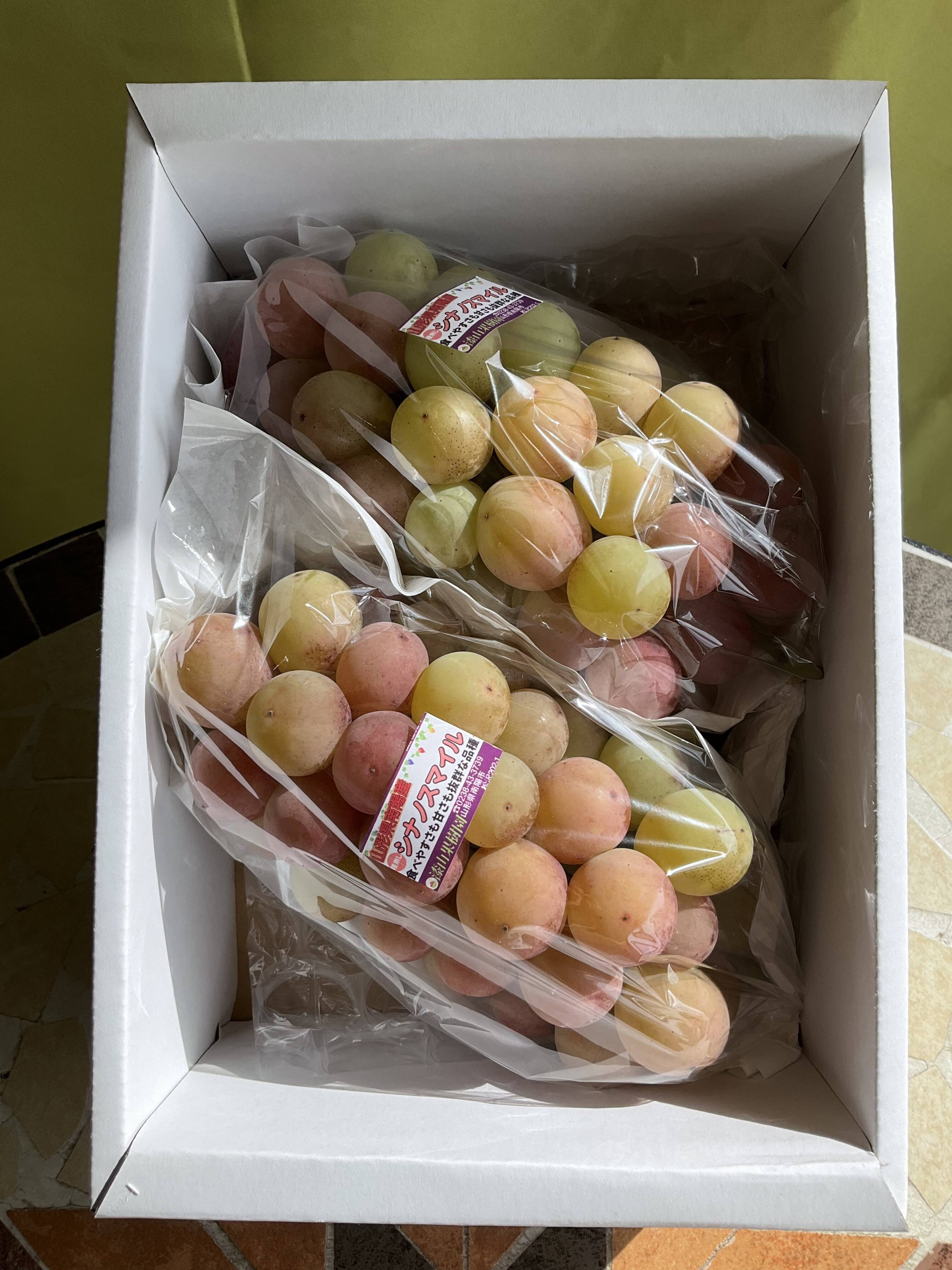 ご家庭用に☆訳あり赤玉ぶどう・シナノスマイル2房～3房 約1.2キロ前後