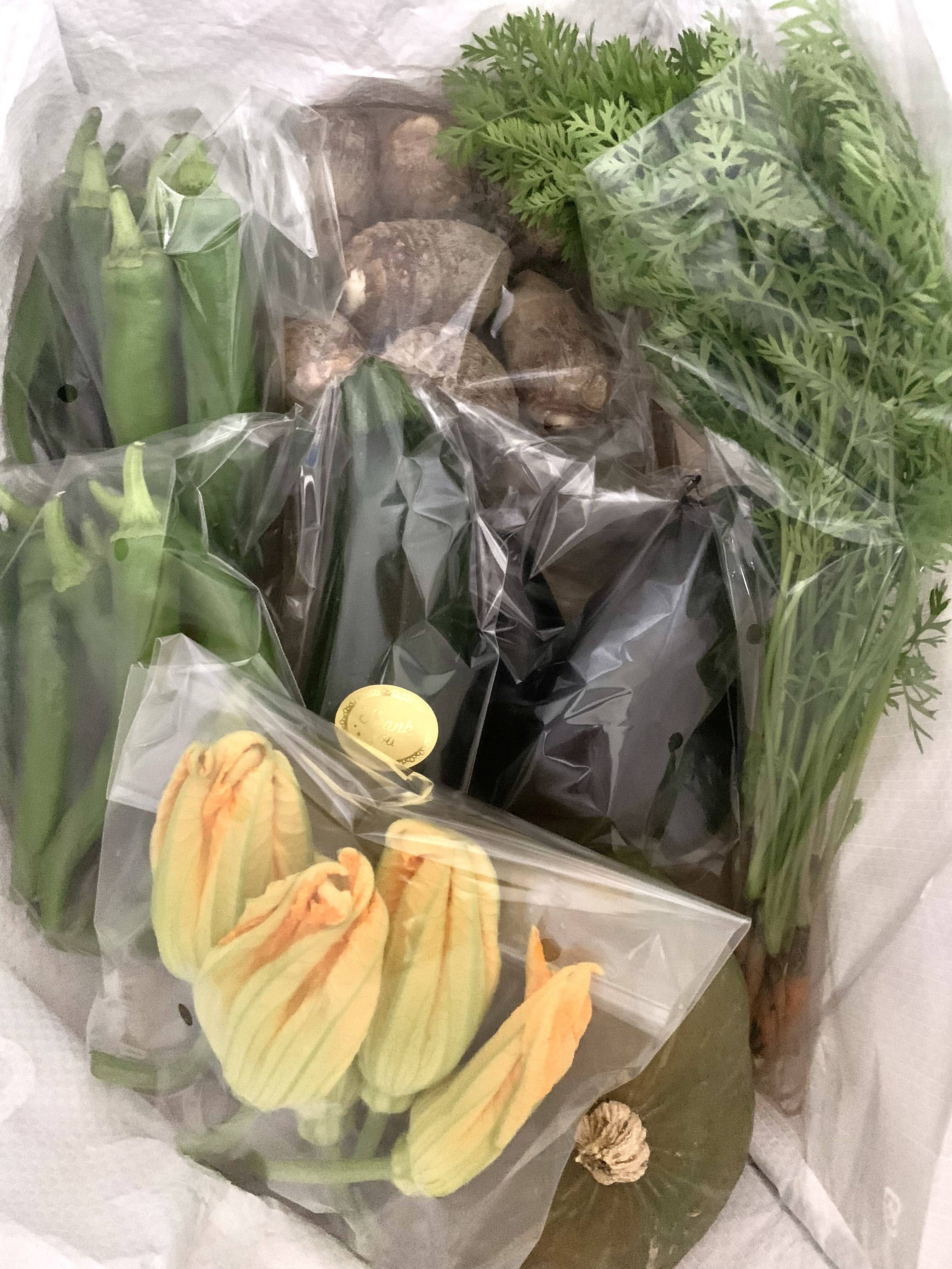 自然農】『季節の野菜セット』化学/有機肥料・農薬不使用、天地の恵み