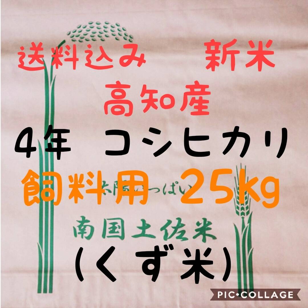 送料込み 令和4年産 高知県産 新米コシヒカリ 玄米10㎏(袋込み