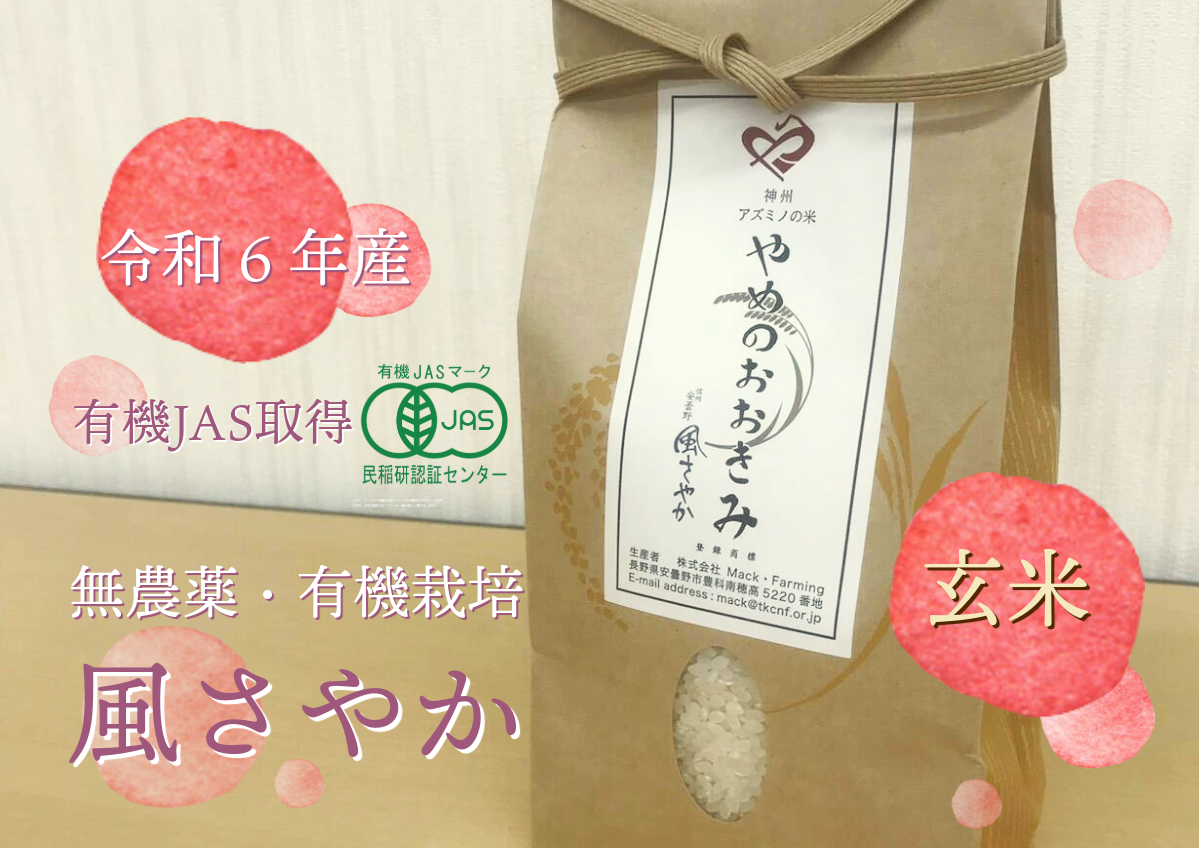 農家直送！大大大好評！新米あきさかりブレンド品！お一人様1つ限り！ 農家直送！大大大好評！新米あきさかりブレンド品！お一人様1つ