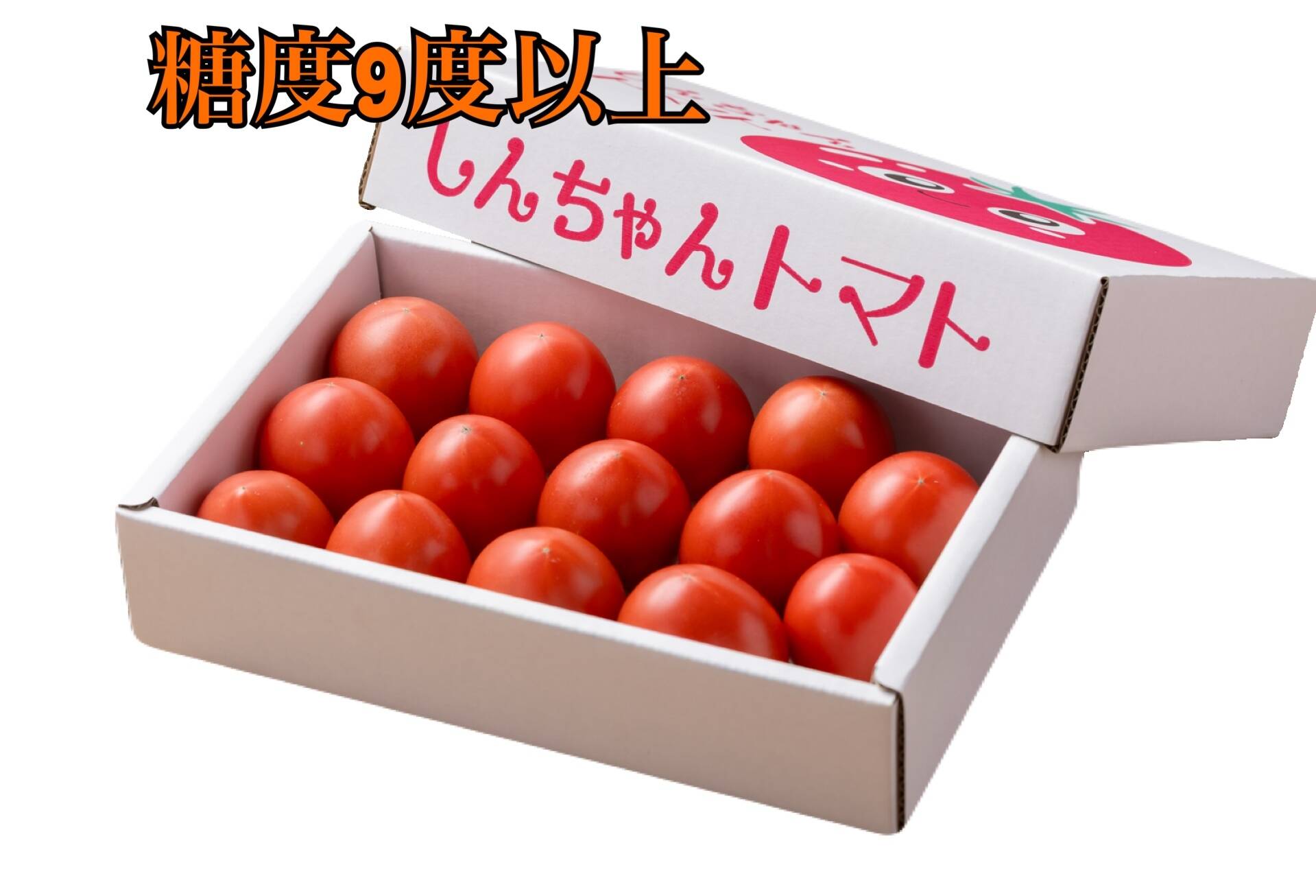 フルーツトマト 糖度9度以上 約750g 高知県土佐市：高知県産の桃太郎