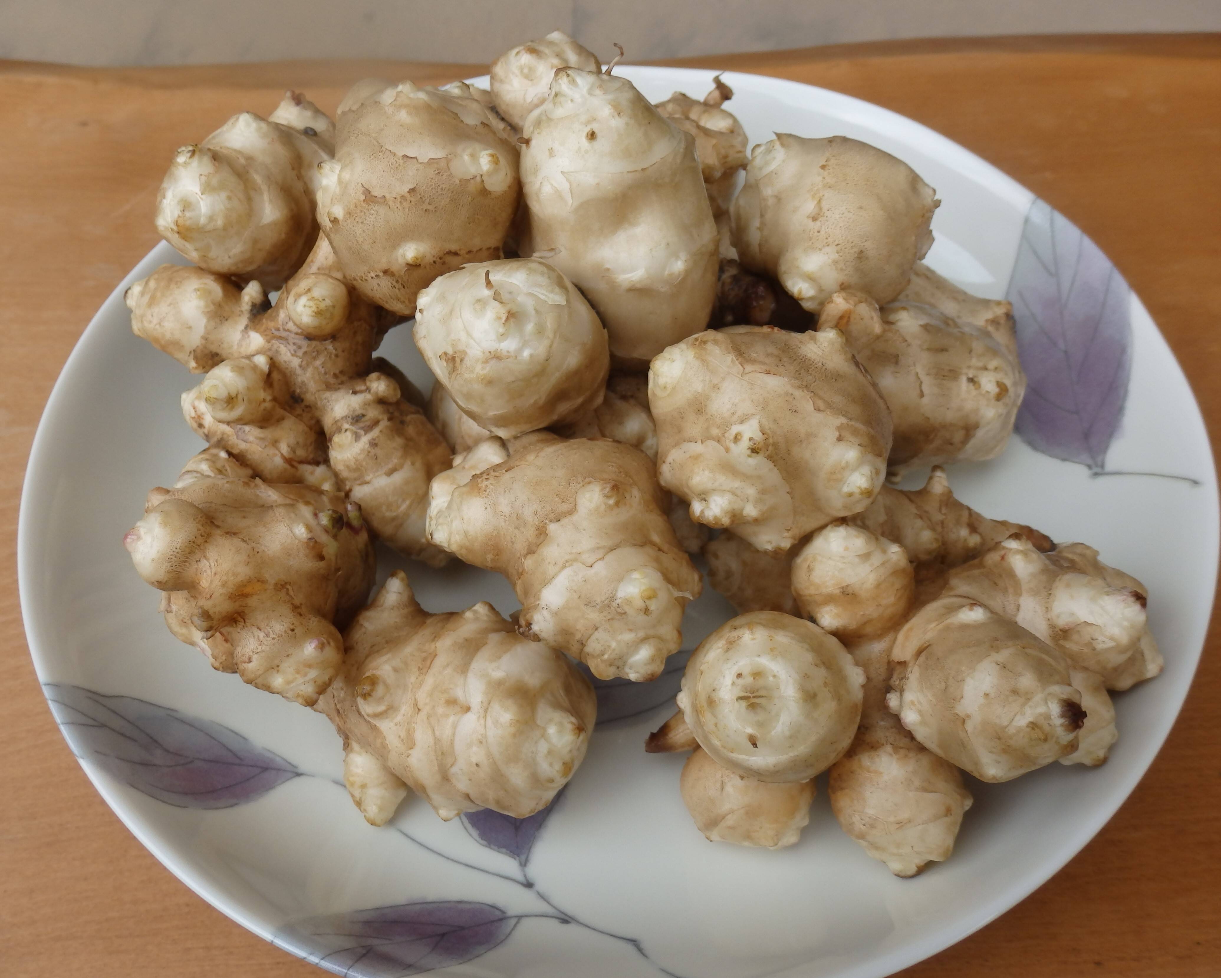 菊芋の種芋10個200g 炙り 前後、今年栽培を始めてみませんか？