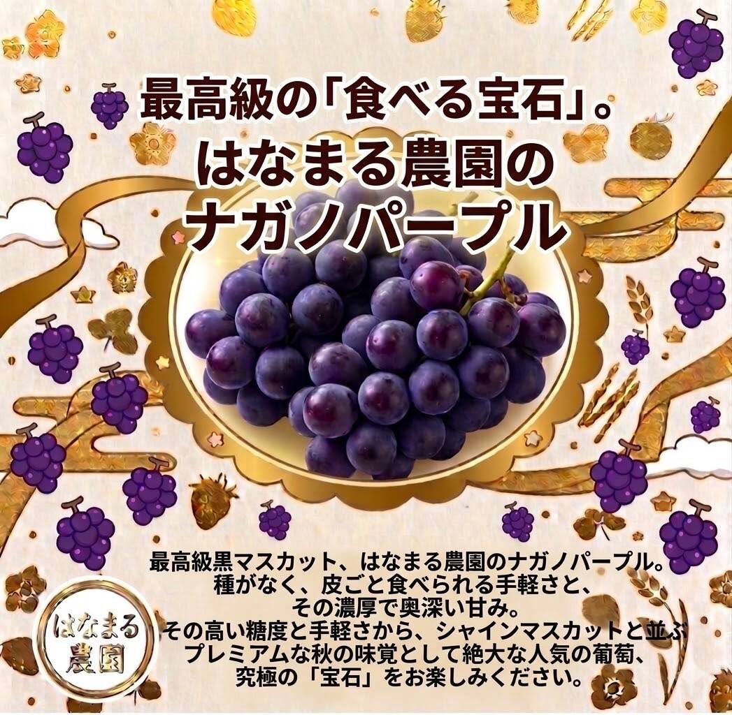 はなまる農園のナガノパープル1キロ：香川県産のナガノパープル｜食べ