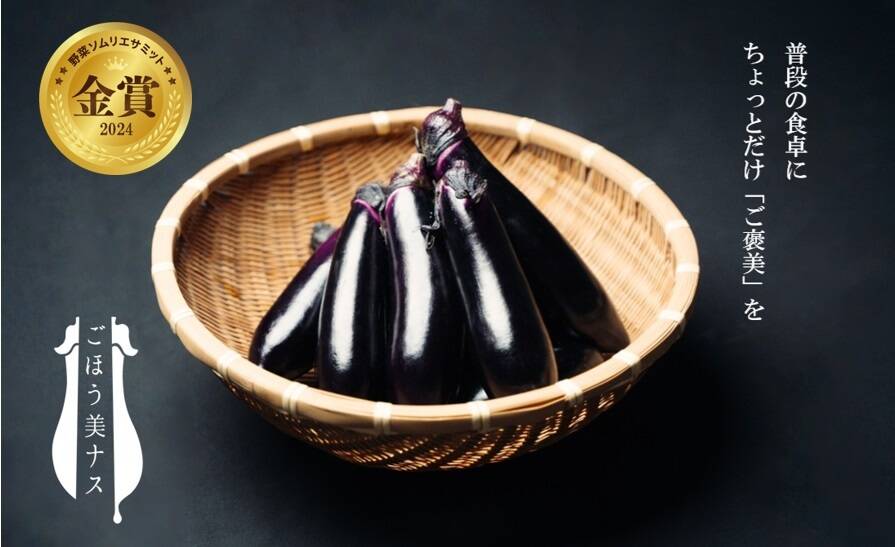 2025年福袋】野菜ソムリエサミット『金賞』ごほう美ナス（50％増量 約