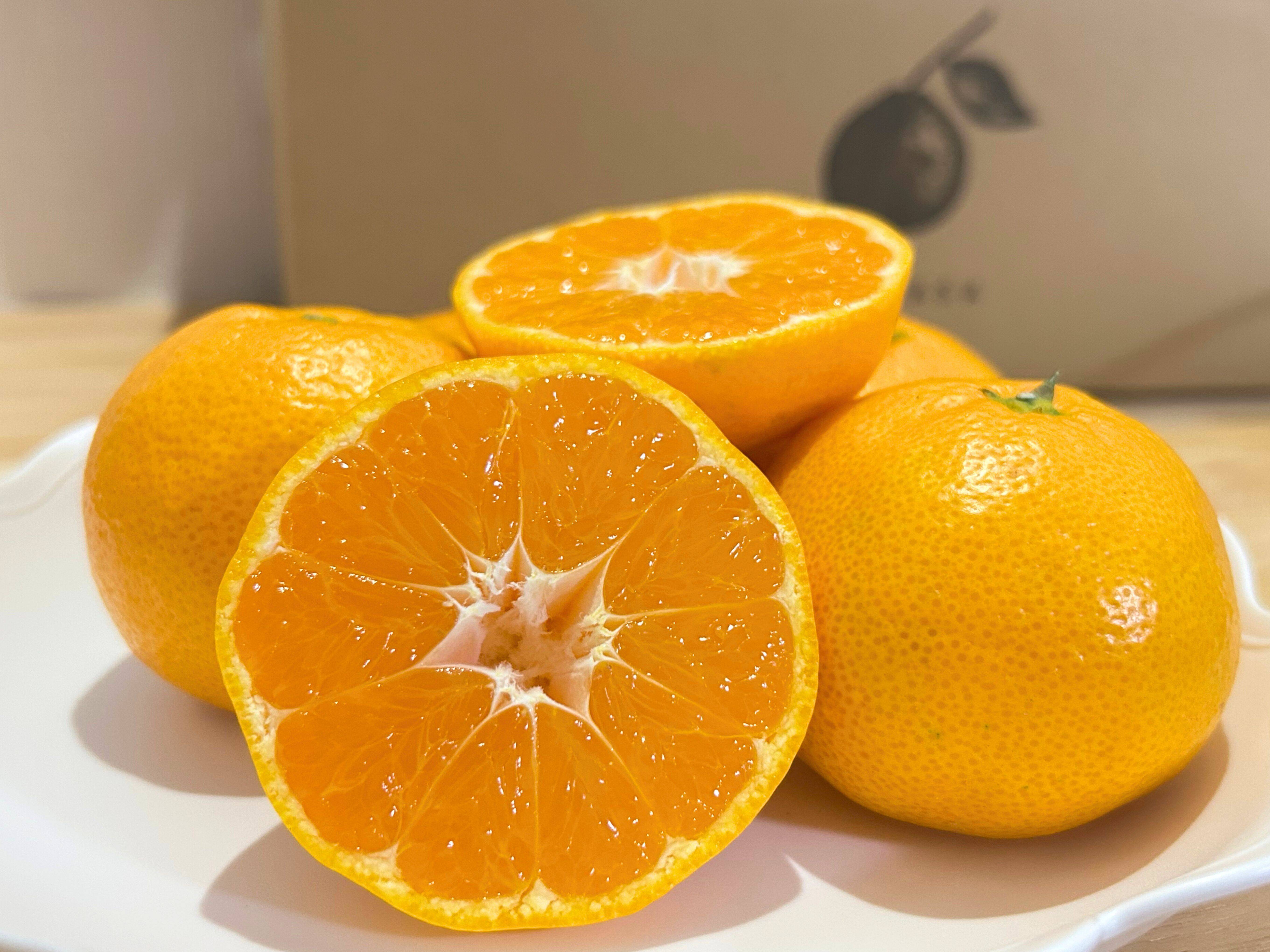 有田みかん 樹上完熟みかん 箱込み5キロMサイズ ギフトにも！ 【上野