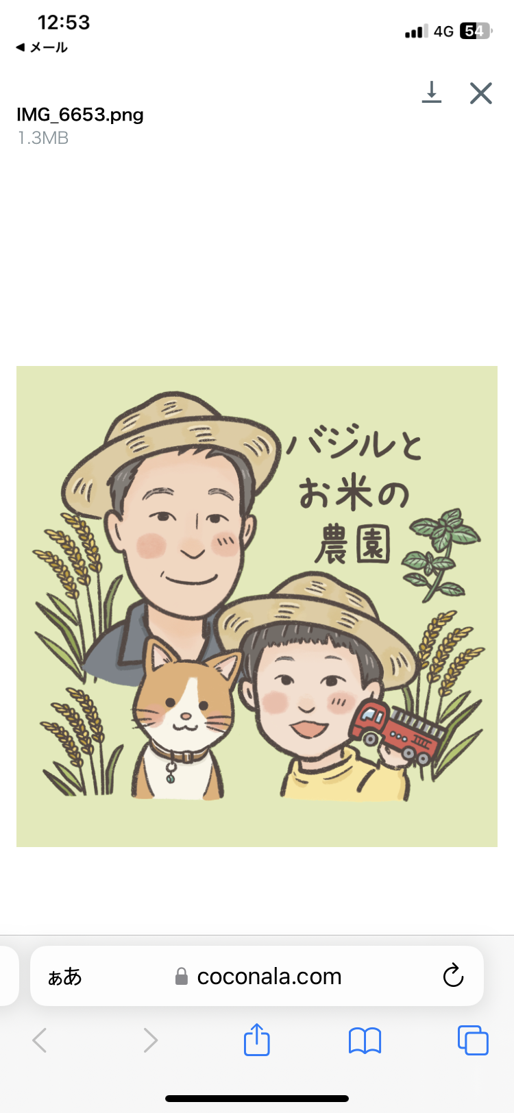 美味しすぎる！2025年度大分県産新米中の新米！30㎏：大分県産