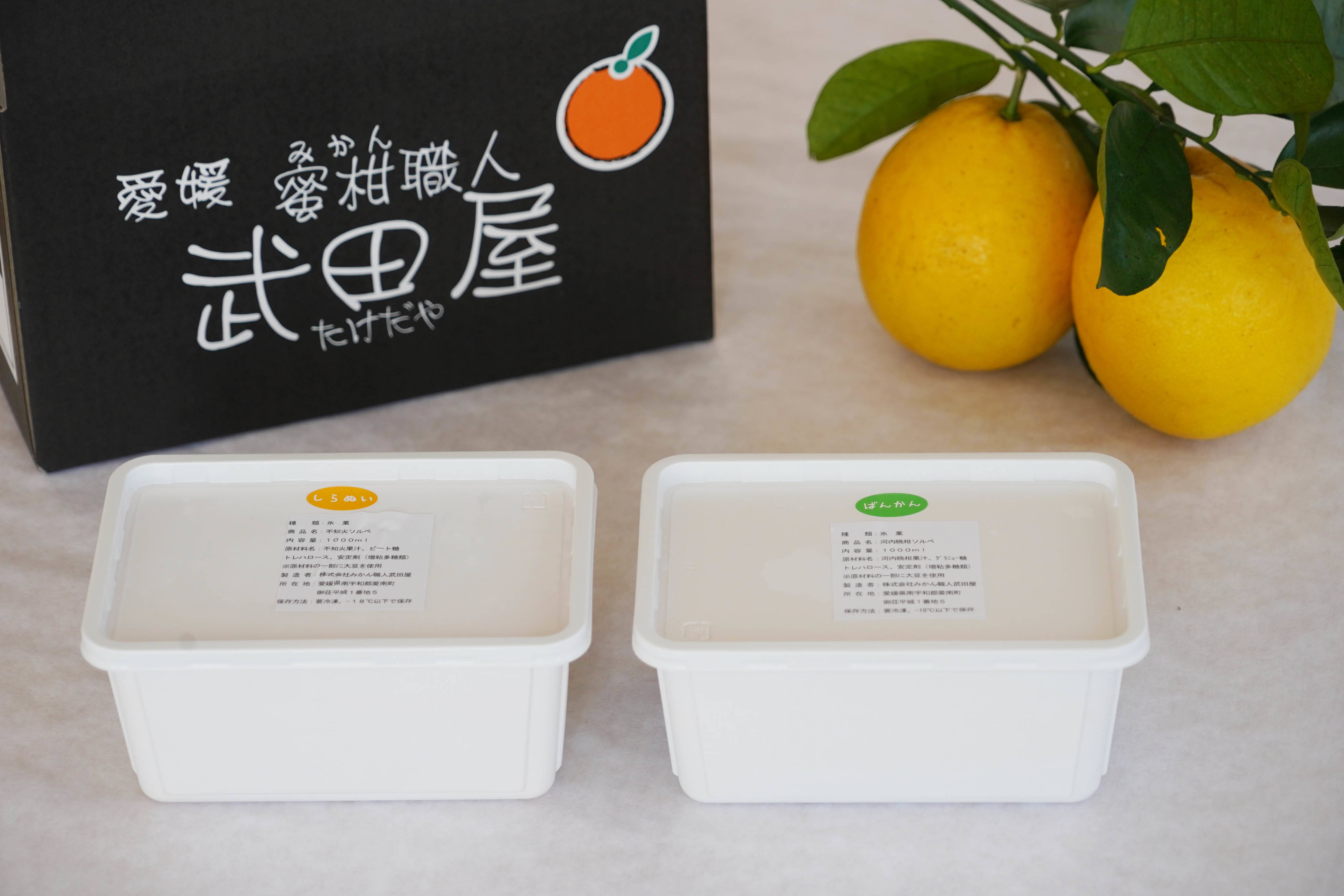 柑橘アイス1000ml ２種 計２タッパー みかん職人武田屋 愛媛県産 食べチョク 農家 漁師の産直ネット通販 旬の食材を生産者直送