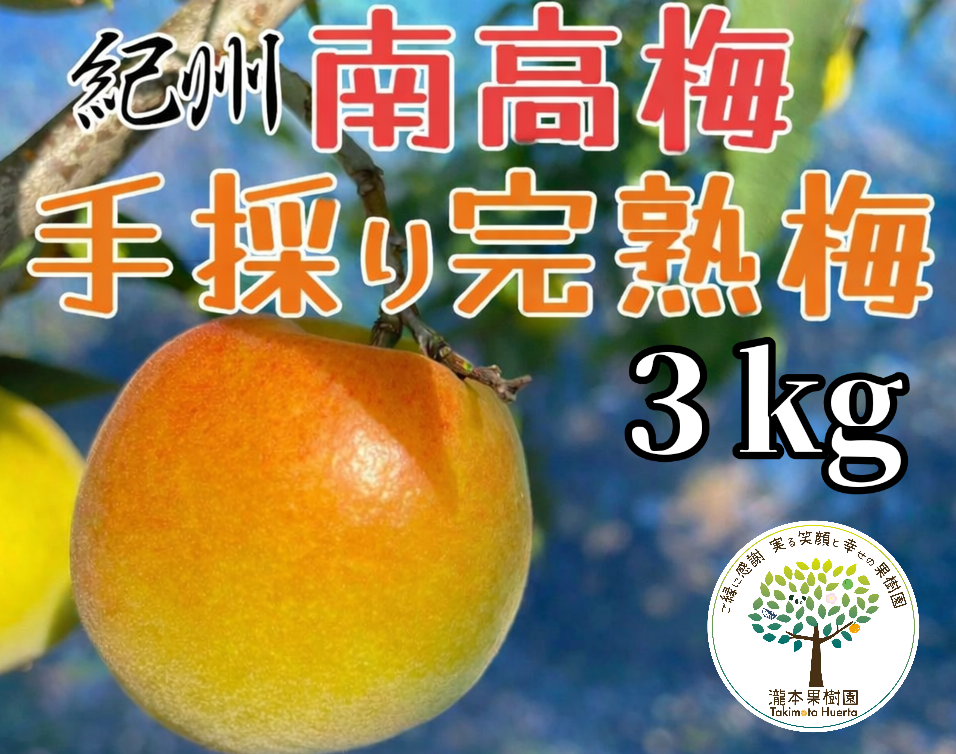 完熟 南高梅 3kg：和歌山県産の南高梅｜食べチョク｜産地直送(産直)お
