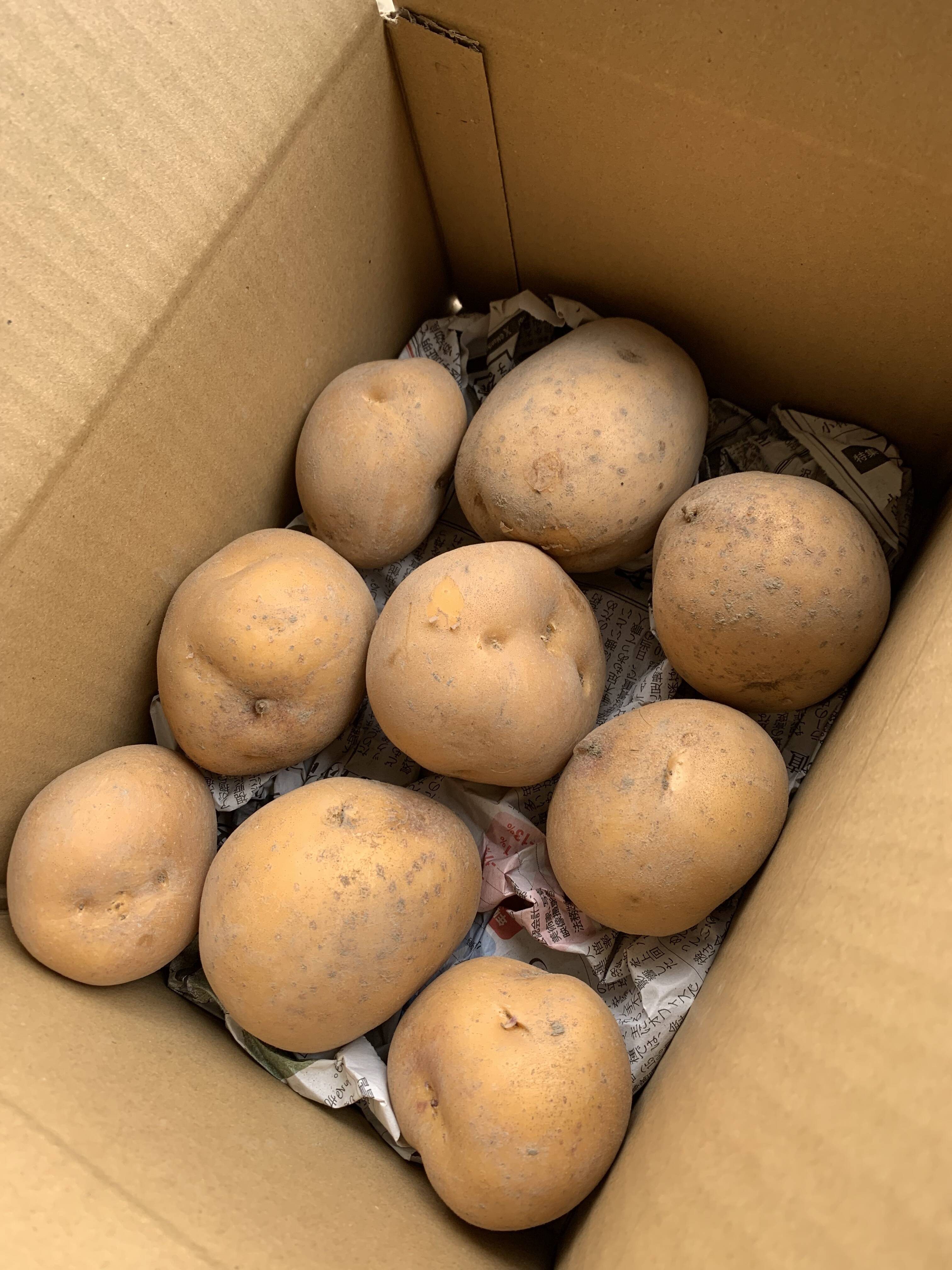 農薬化学肥料不使用 新じゃがインカのめざめ大小食べ比べセット3キロ