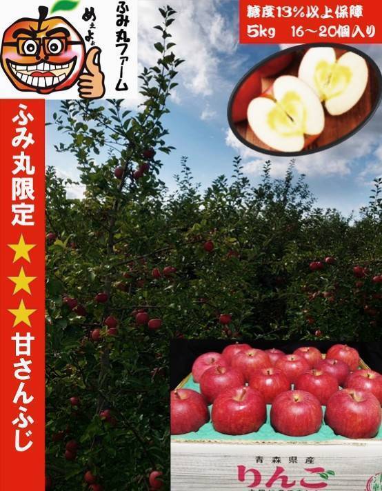 青森県産りんご！ 大人気りんご！ 糖度13%以上保証 限定販売 100箱