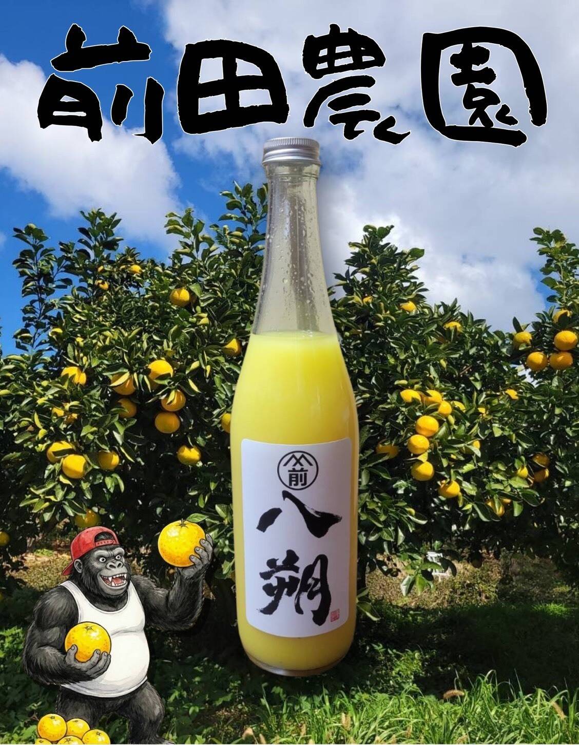 前田農園【PREMIUM八朔100％ジュース】720㎖×4本：和歌山県産の果物
