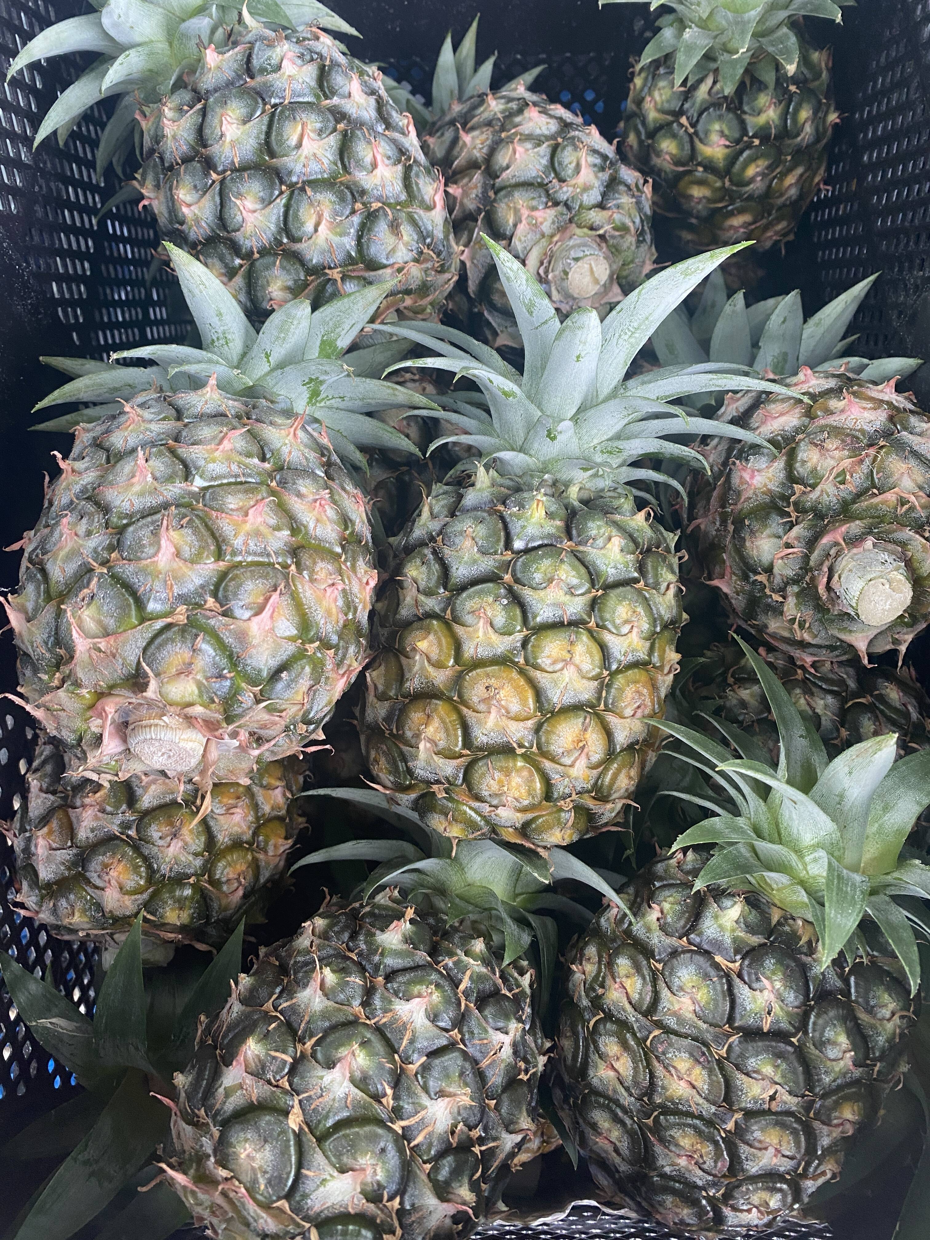 9acdd3ab06787ae102dcd1bcd86964