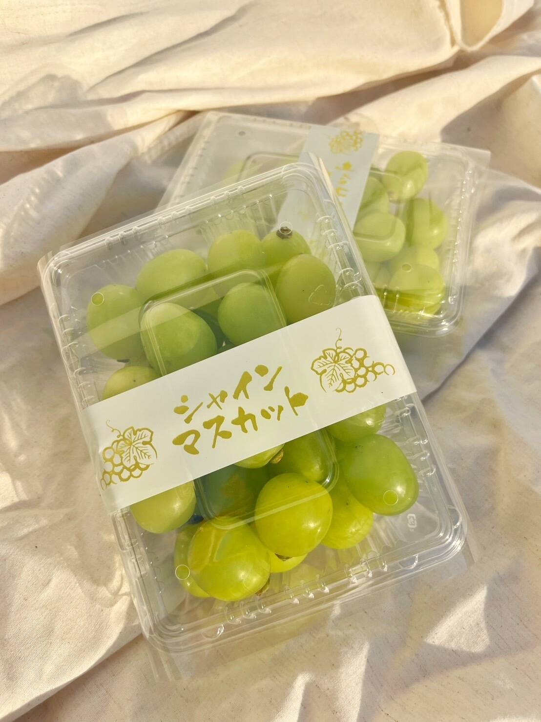 シャインマスカット 大粒 多め粒 5キロパック入り シャインマスカット粒限定大粒多め入り5キロ シャインマスカット大粒