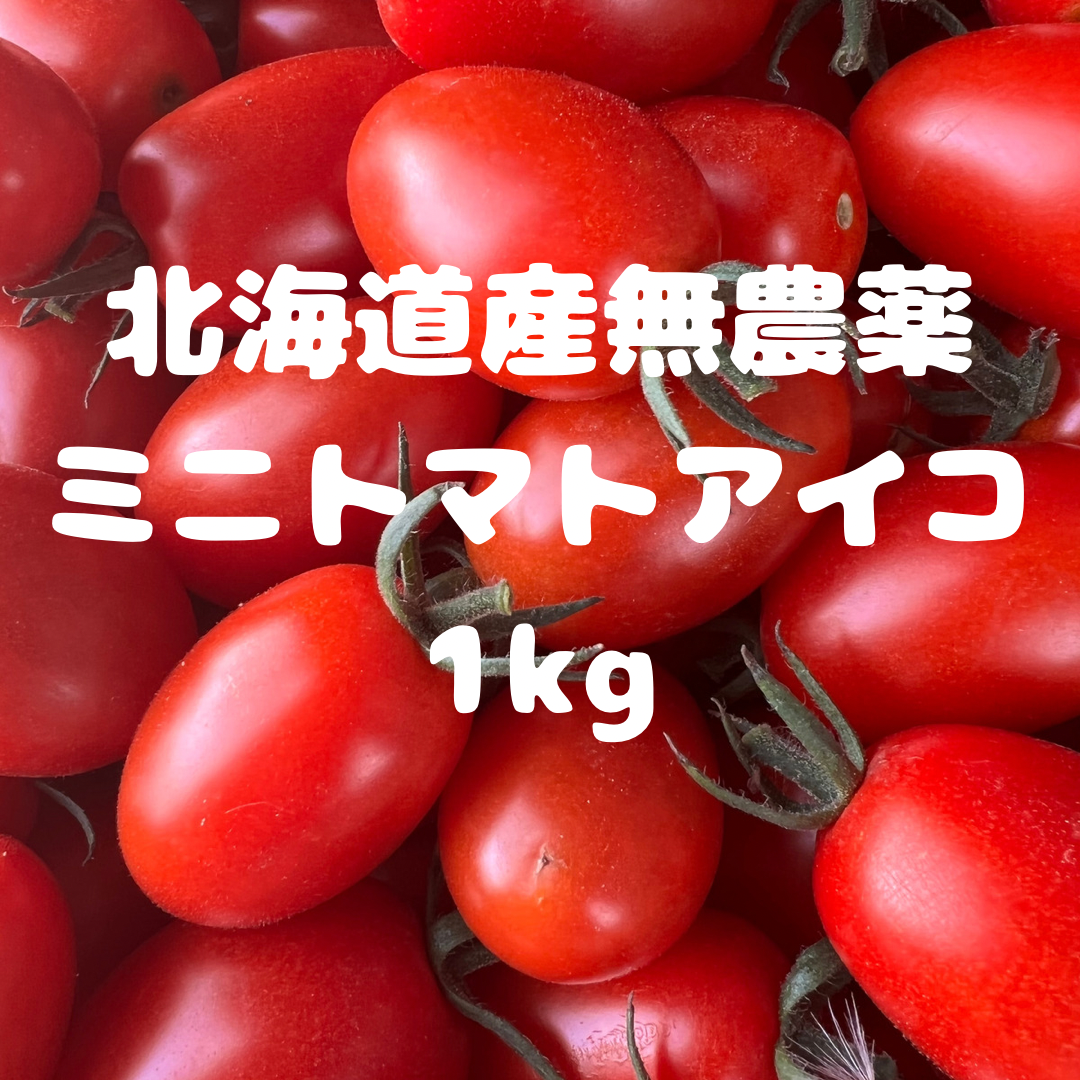 ミニトマトアイコ 1kg 人気ショップ - 野菜