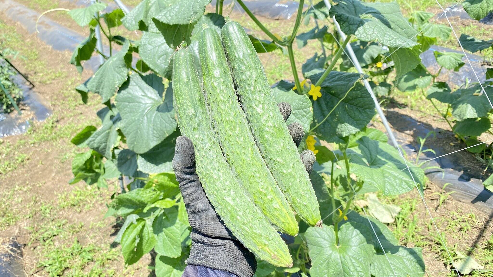 9b6c2a963f99bdbe4b02ce37aafc5c