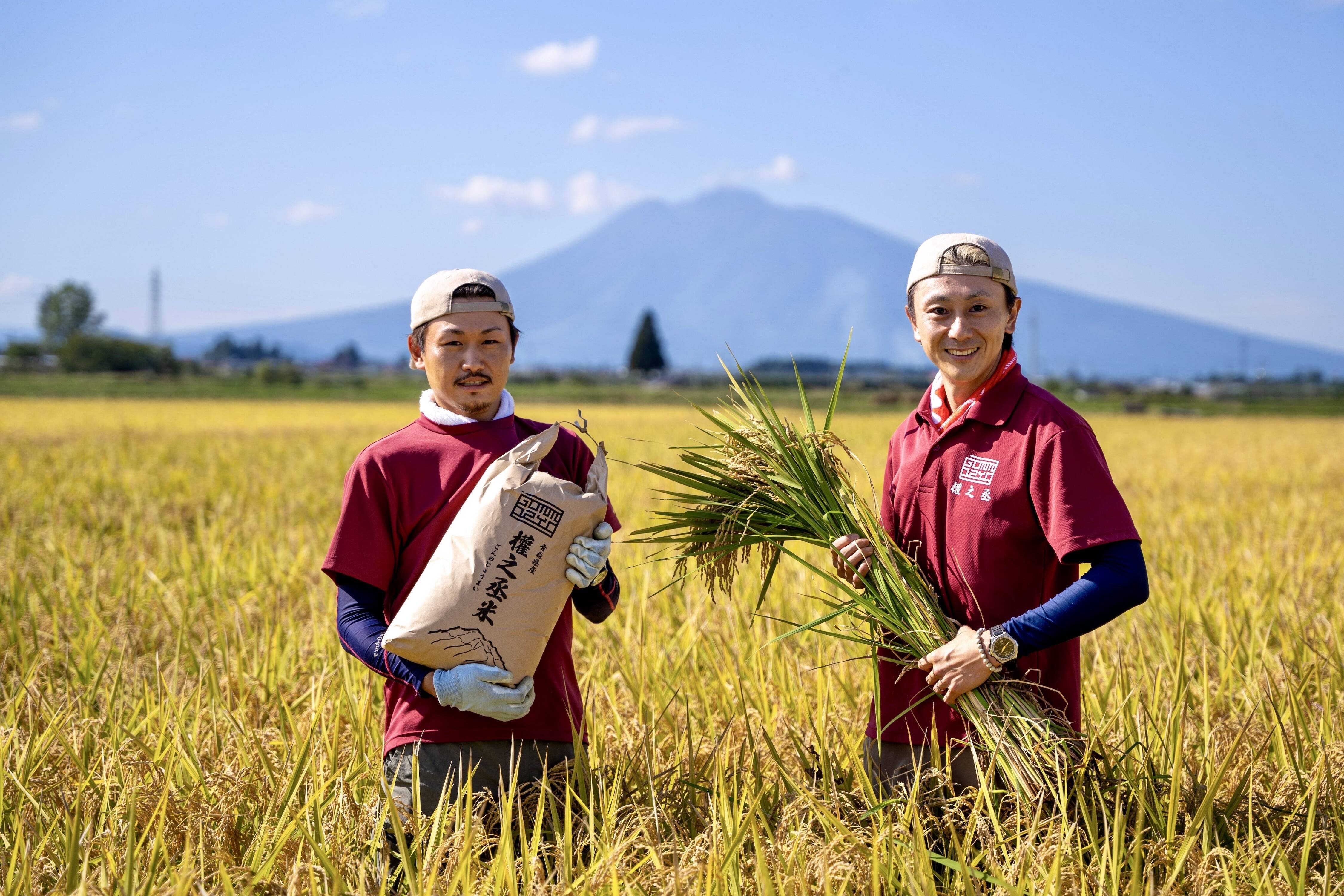 青森県産米 まっしぐら 10㎏（白米）：青森県産のお米｜食べチョク｜産地直送(産直)お取り寄せ通販 - 農家・漁師から旬の食材を直送