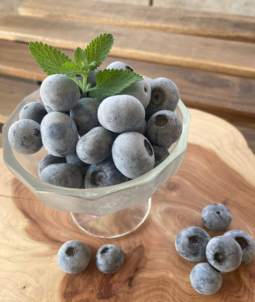 少しだけ訳あり特価！【滝波様専用冷凍ブルーベリー4㎏】：愛知県産の