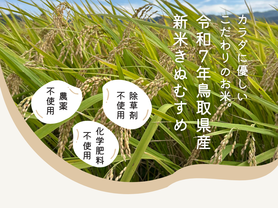 令和7年新米】農薬・化学肥料不使用 冷めても美味しい「きぬむすめ