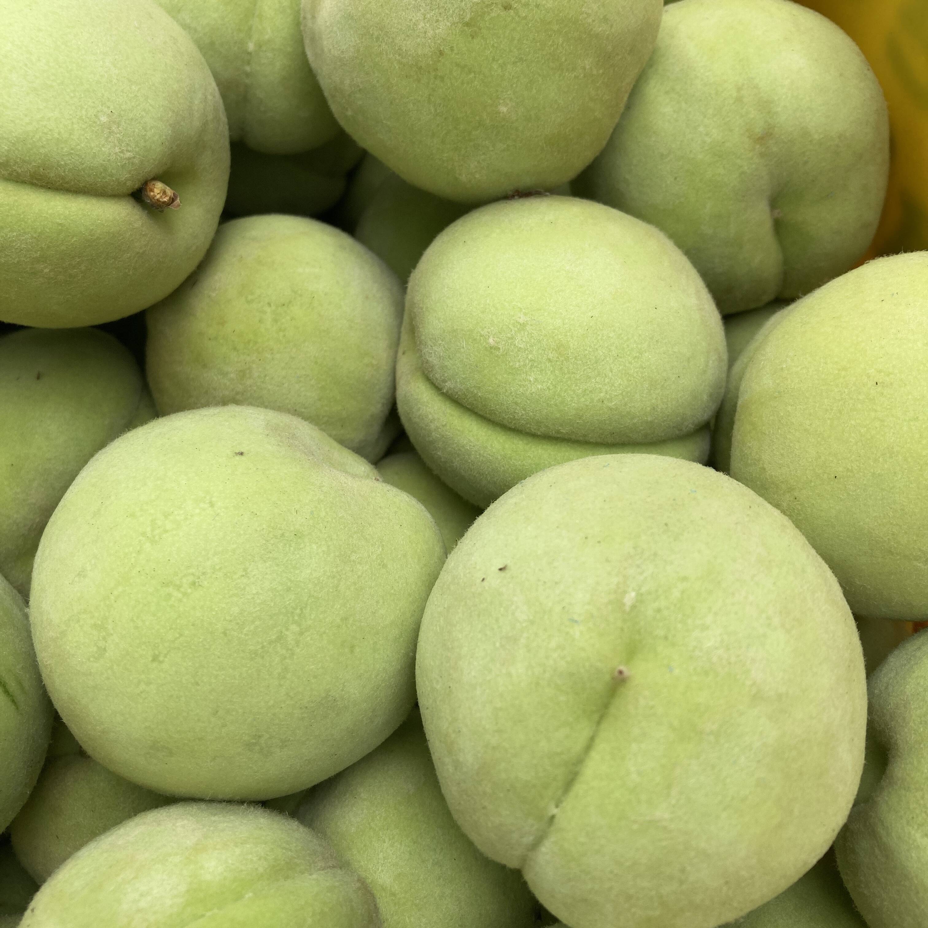 福島県産摘果桃　10キロ 福島県産 摘果桃（大）10キロ：福島県産のその他桃｜食べチョク