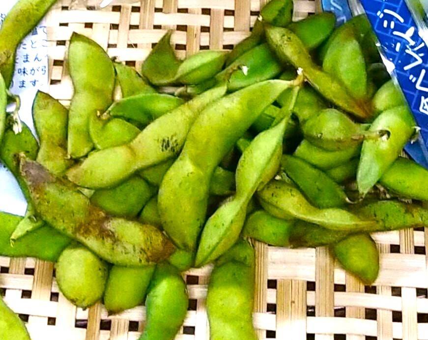 朝どれ】別格！幻の枝豆「丹波篠山産黒枝豆」（500g×3袋）：兵庫県産の