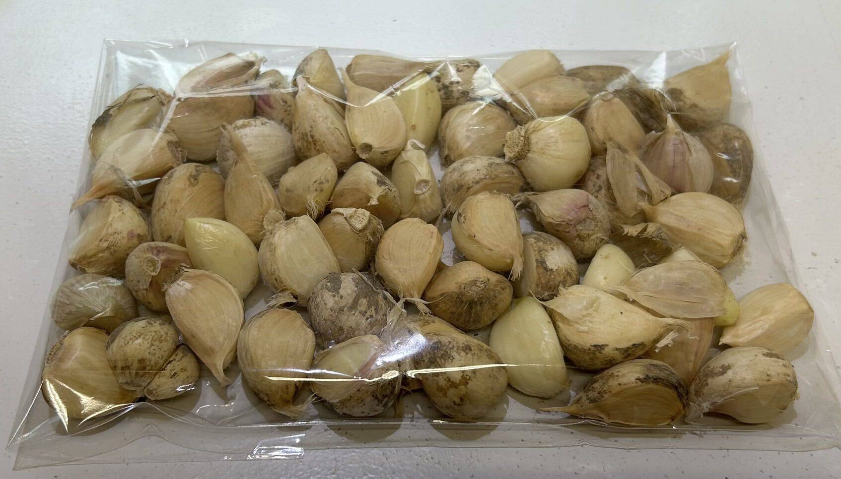 2026年新物 北海道産にんにく【ホワイト六片】皮付きバラ300g※一部皮