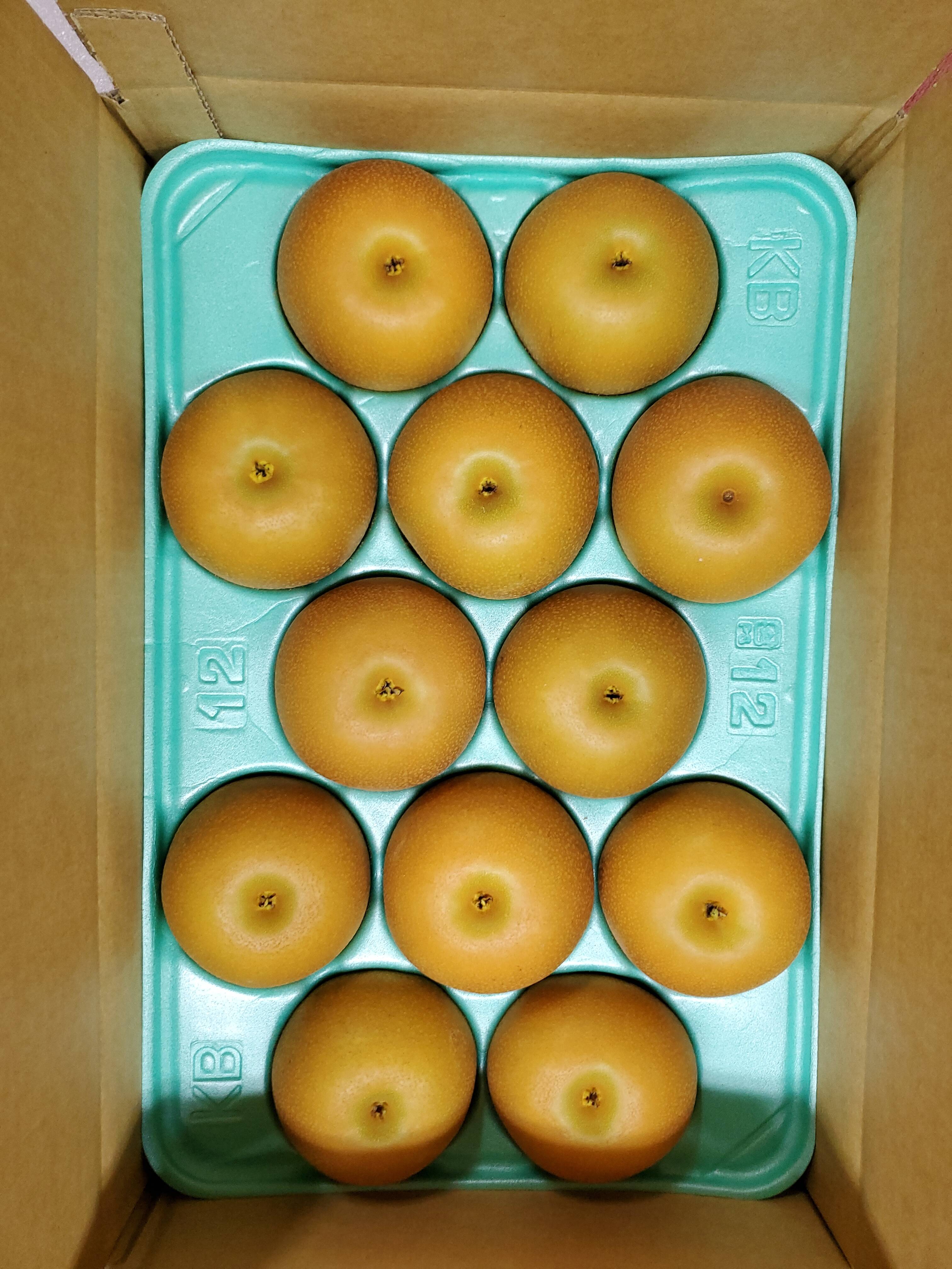 1️⃣0️⃣ 山梨県産 秀品 おどろき 特大12玉箱込6.9K13玉5.8K 敬老の日ギフト】【贈答品】梨 あきづき 秀品 5Kg箱 10玉~14玉 _2025