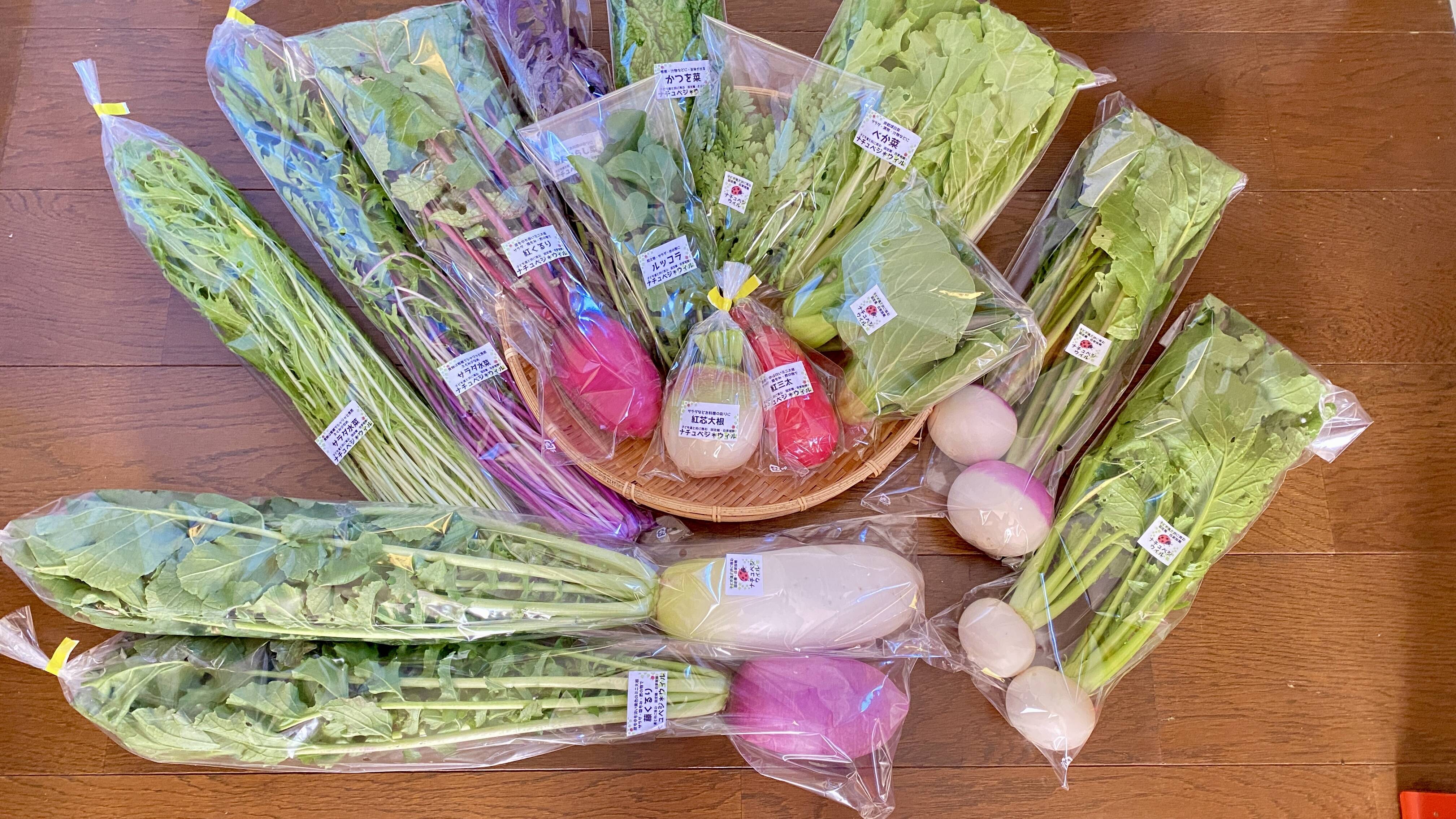 自然の野菜 自然栽培 大豆「鶴の子」10キロ 楽天市場】鶴の子大豆 1kg 豆力 北海道産 大豆 つるのこだいず