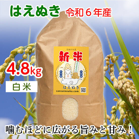 6年新米 はえぬき 玄米 8キロ 6年新米 はえぬき 玄米 8キロ