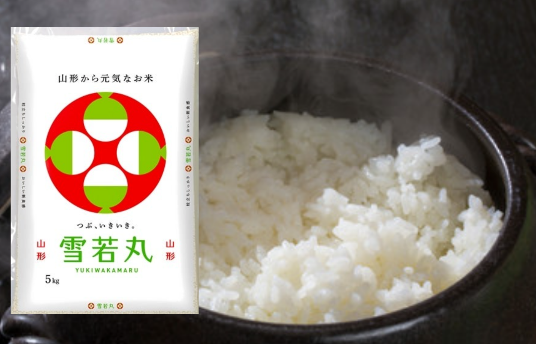 雪若丸　10kg  特別栽培米　令和4年産 山形